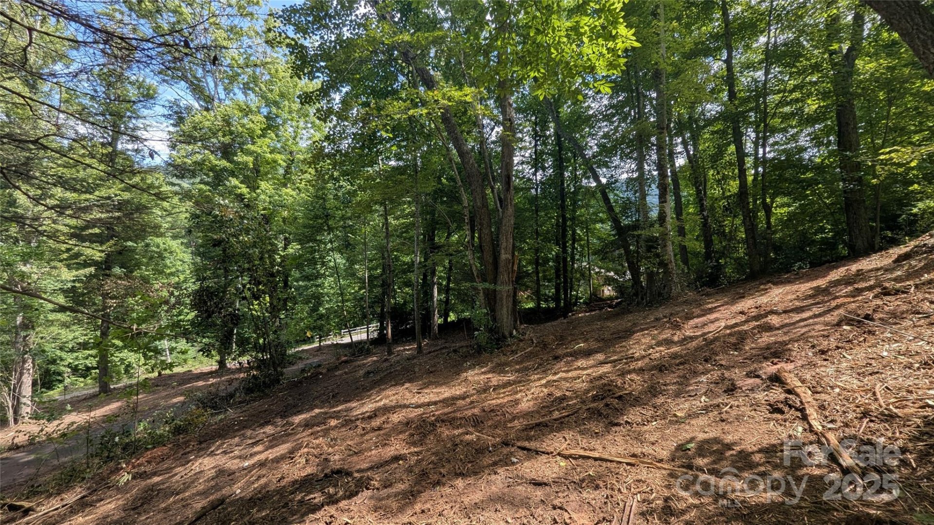 Property image 2 at 00 Chestnut Walk Drive, Waynesville, NC 28786