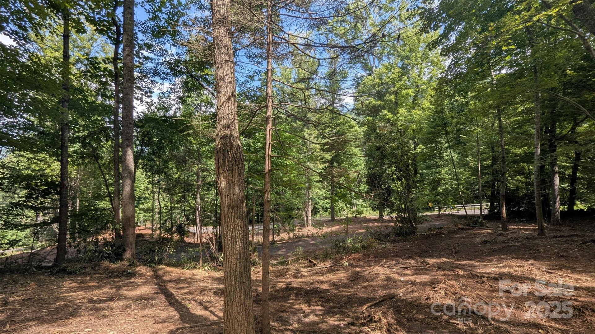 Property image 3 at 00 Chestnut Walk Drive, Waynesville, NC 28786