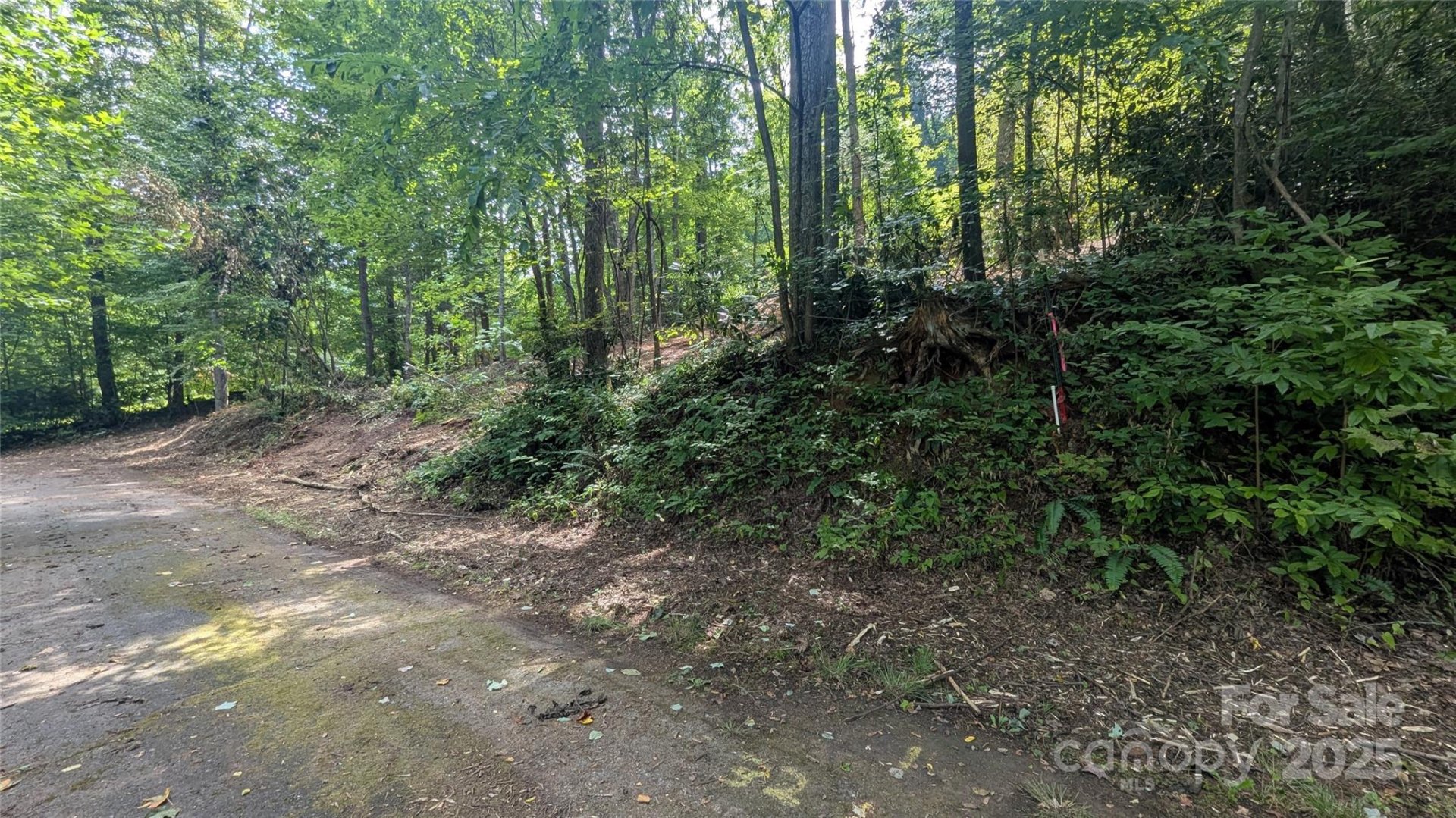 Property image 4 at 00 Chestnut Walk Drive, Waynesville, NC 28786
