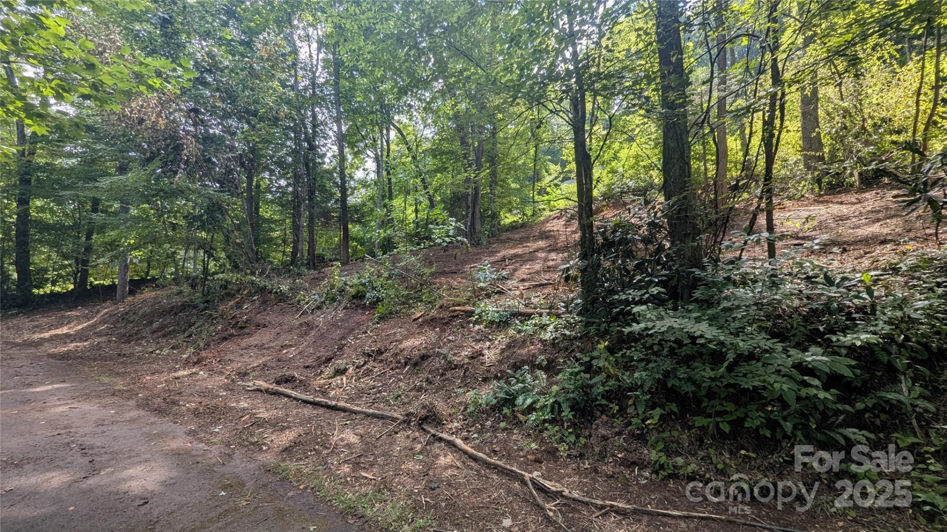 Property image 5 at 00 Chestnut Walk Drive, Waynesville, NC 28786