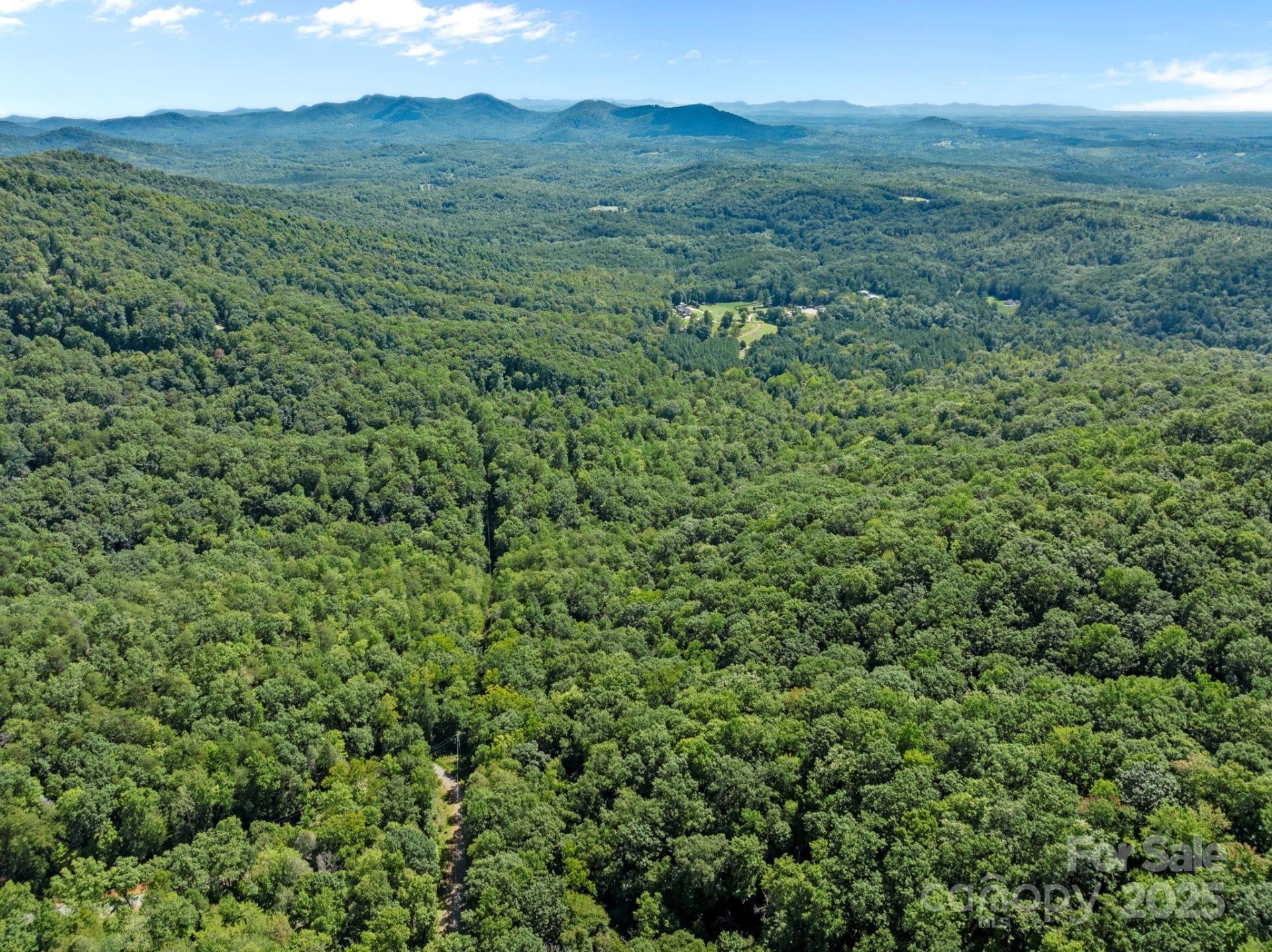 Property image 2 at 0000 Peartree Drive, Lake Lure, NC 28746