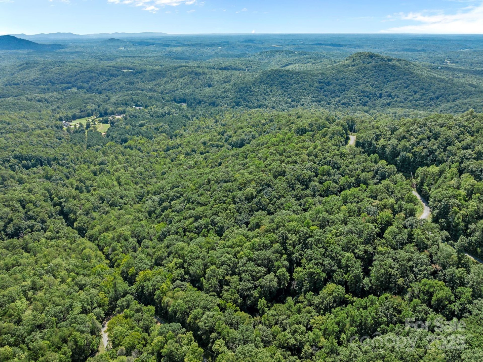 Property image 3 at 0000 Peartree Drive, Lake Lure, NC 28746