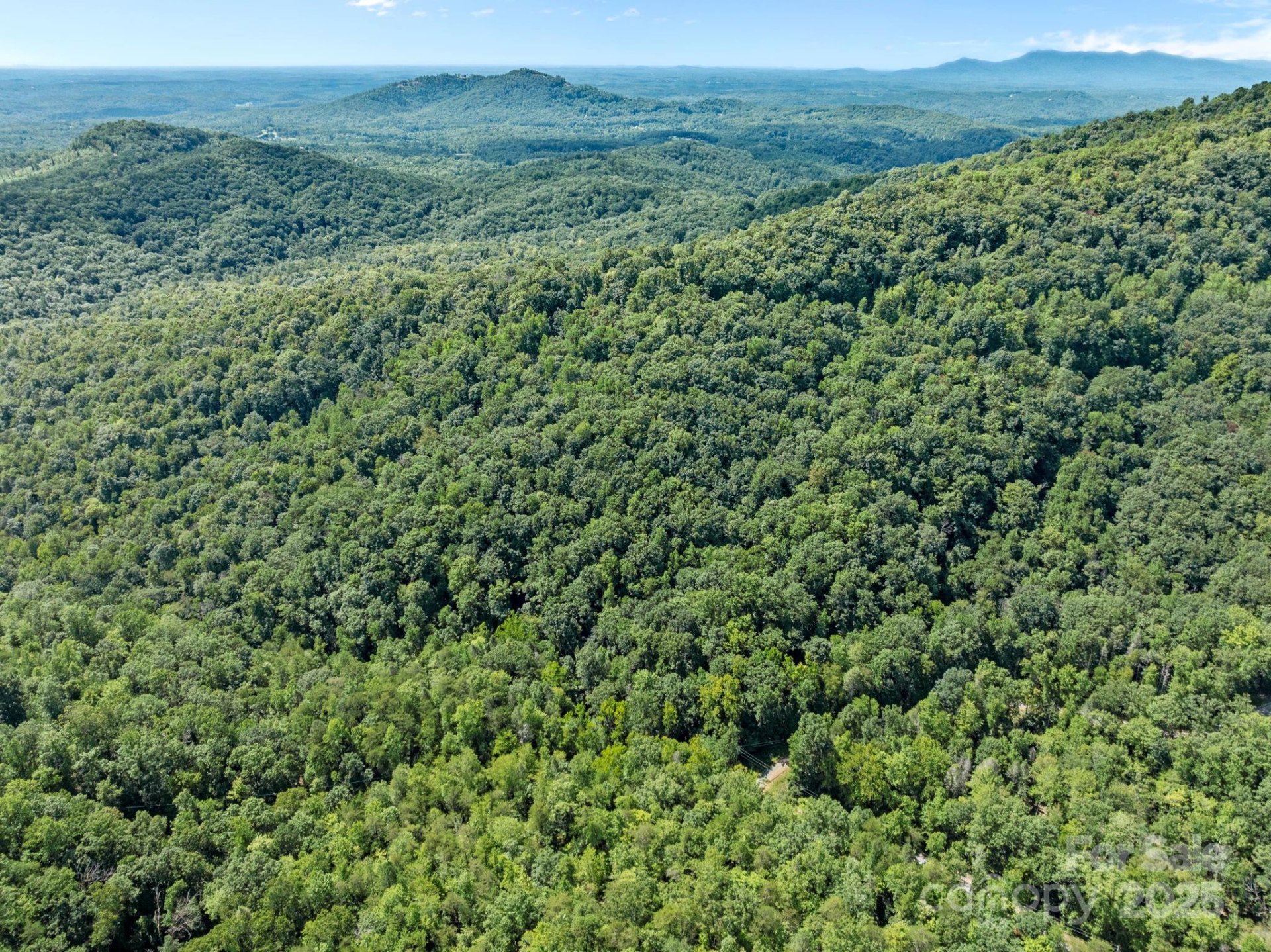 Property image 5 at 0000 Peartree Drive, Lake Lure, NC 28746