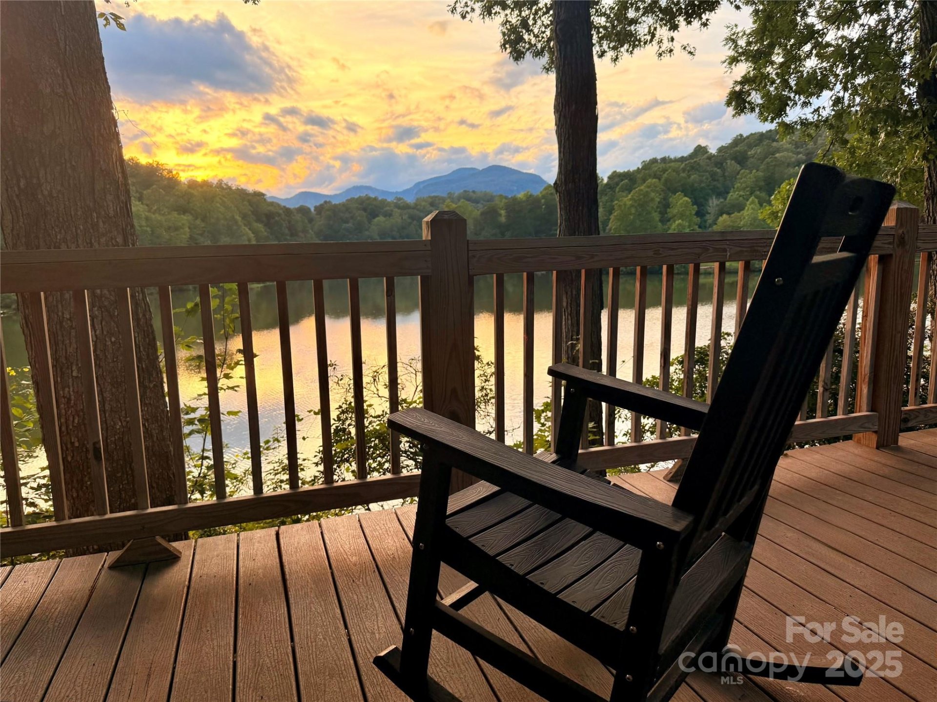 Property image 3 at 131 Blue Gill Drive, Lake Lure, NC 28746