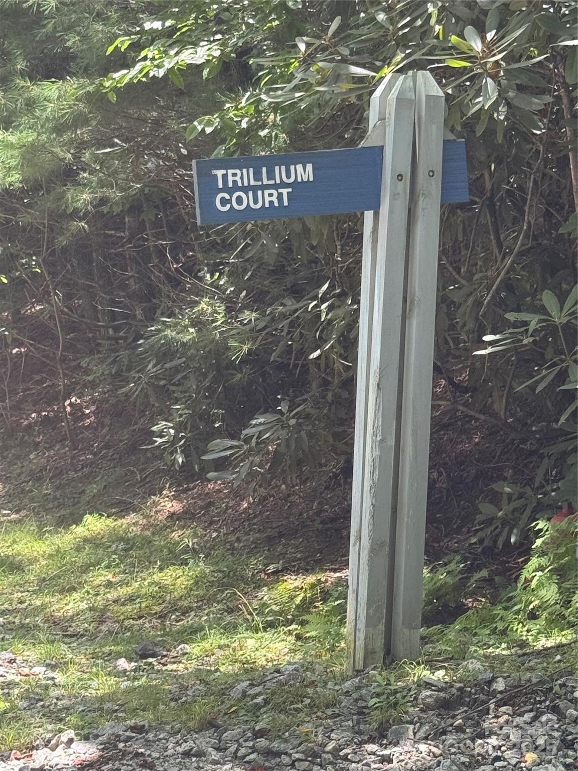 000 Trillium Court
