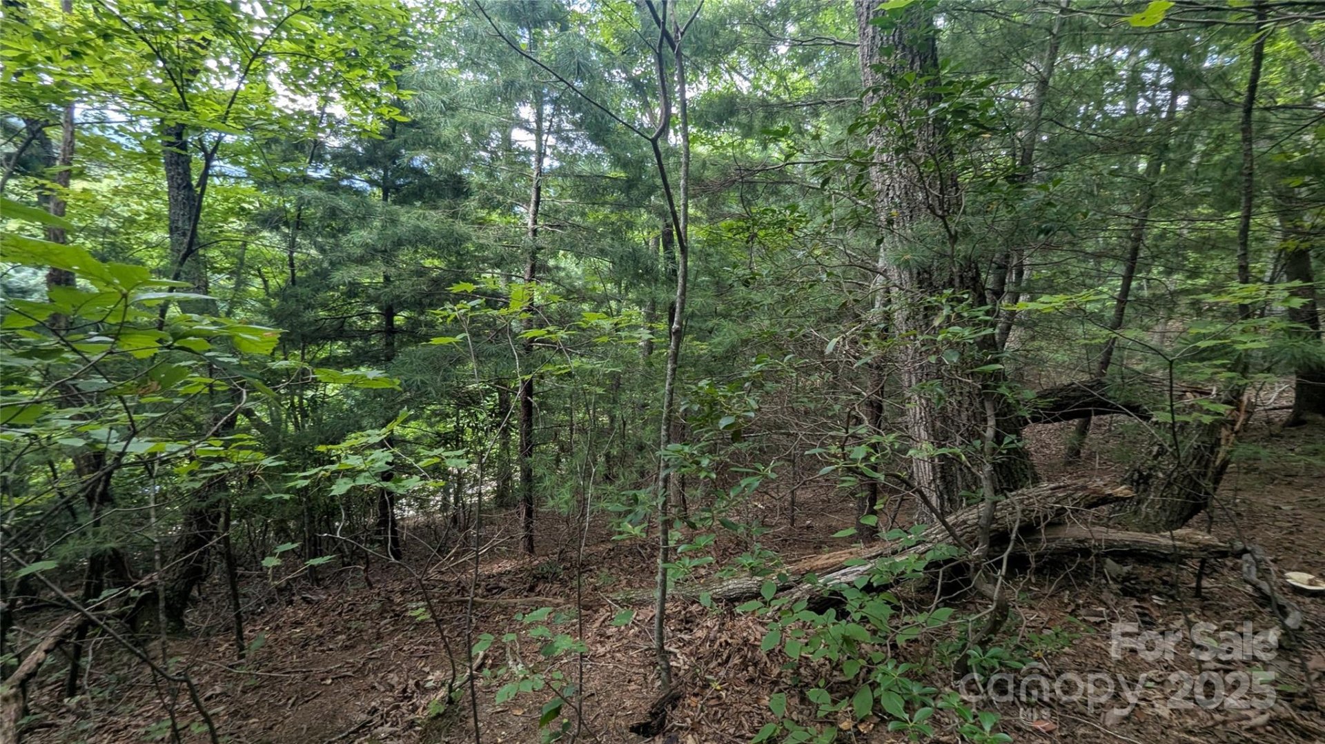 Property image 2 at 00 Pinewood Drive, Waynesville, NC 28786