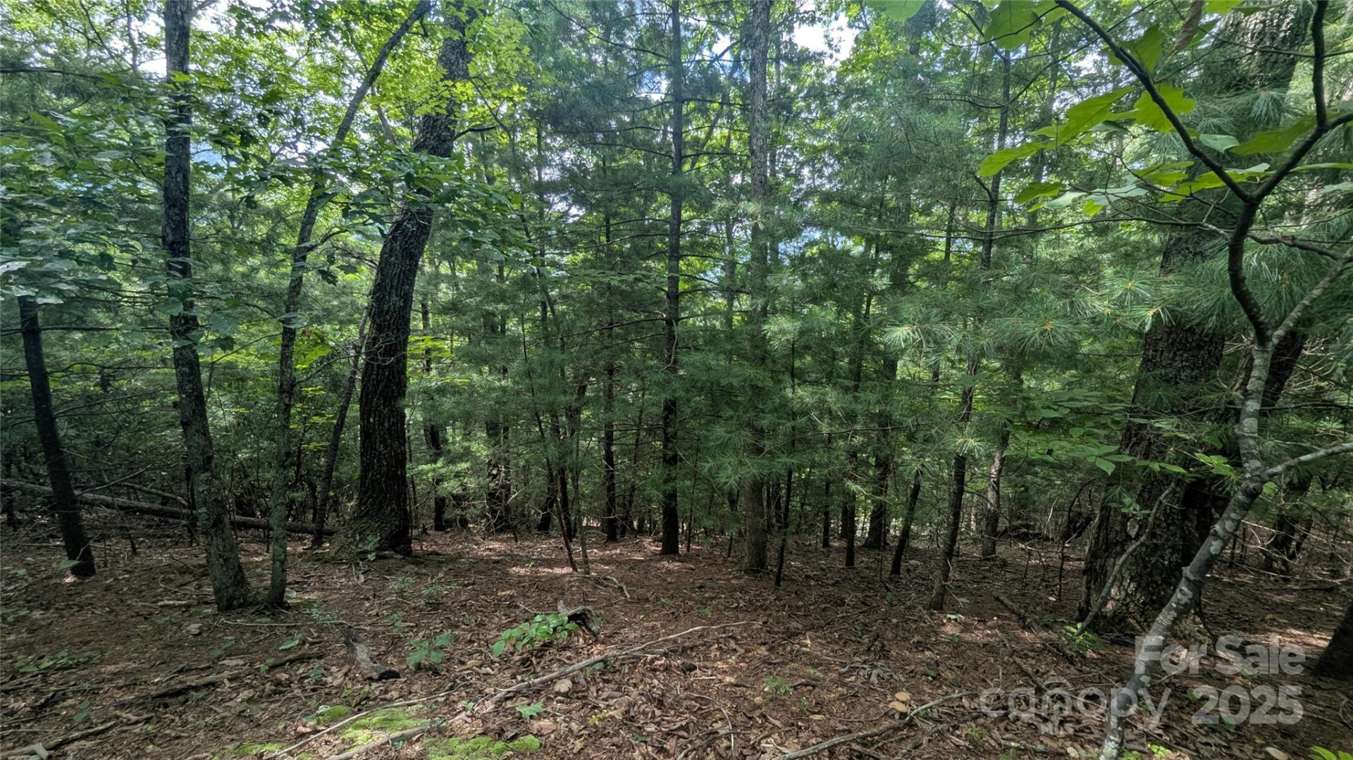 Property image 3 at 00 Pinewood Drive, Waynesville, NC 28786