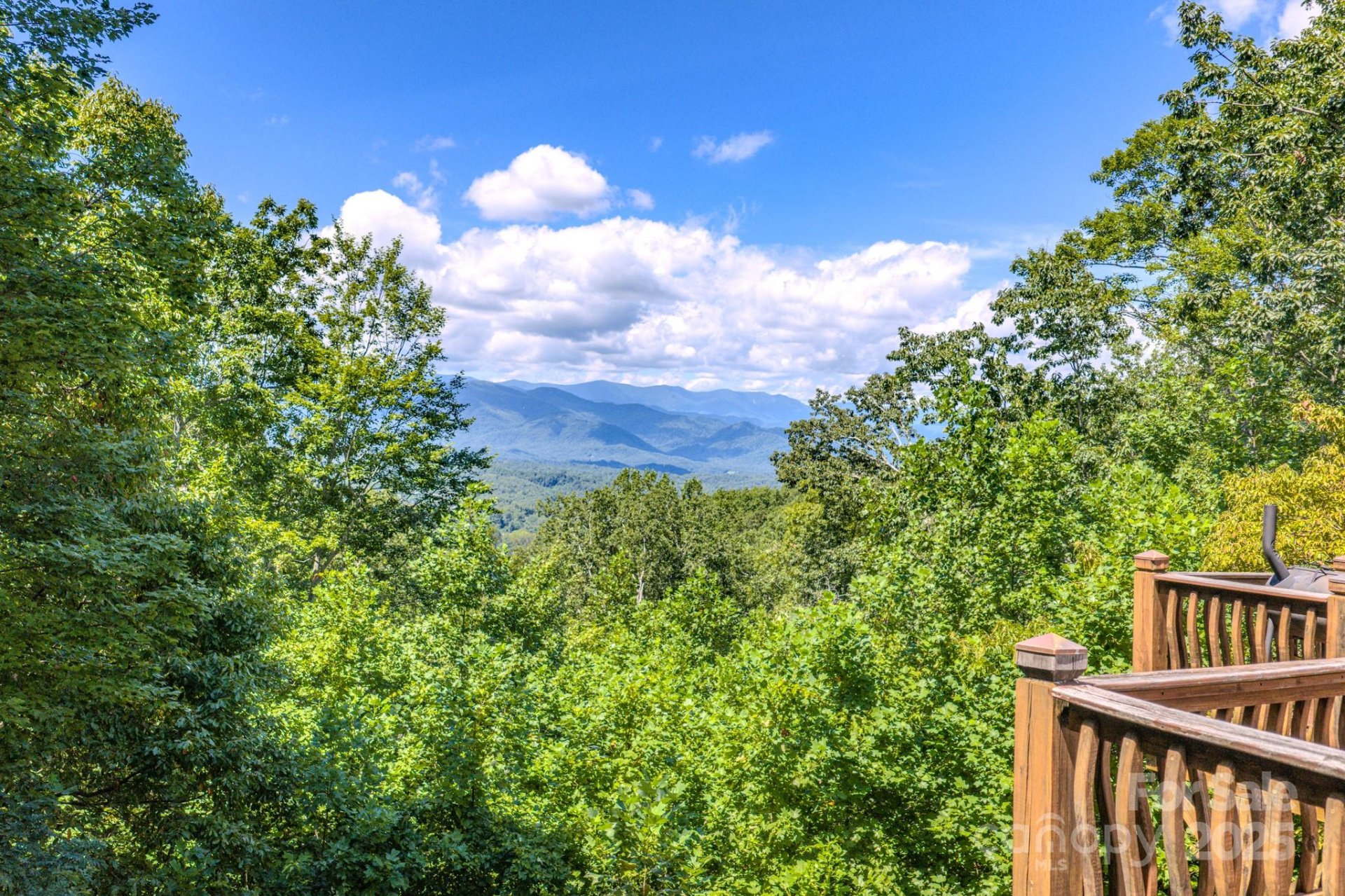 1595 Grants Mountain Road