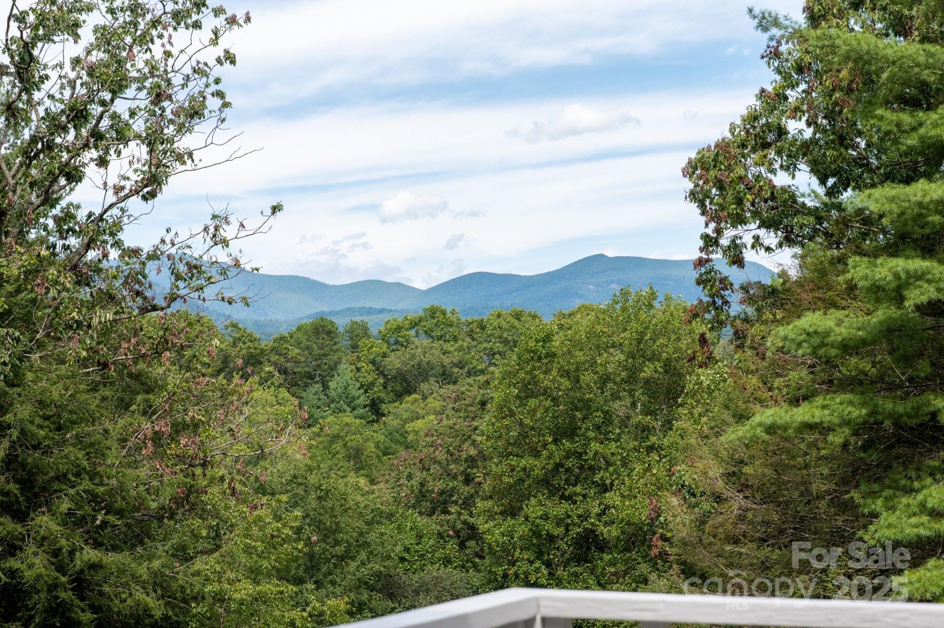 Property image 2 at 50 Springwood Drive, Asheville, NC 28805