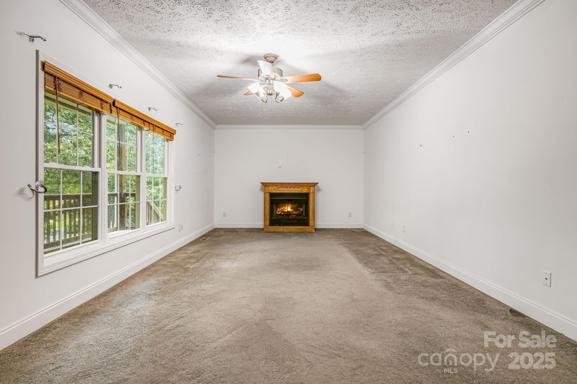 Property image 5 at 163 Terrace Field Trail, Flat Rock, NC 28731