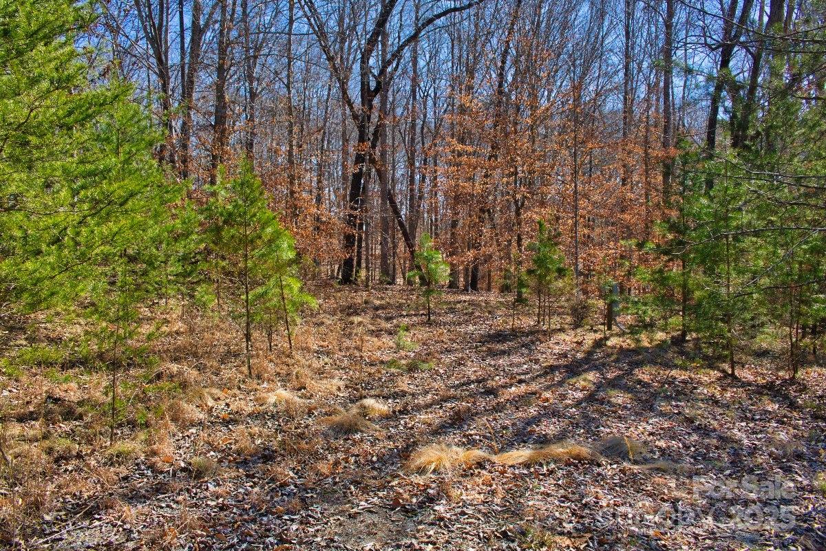 Property image 2 at 0 Cinnamon Ridge, Rutherfordton, NC 28139