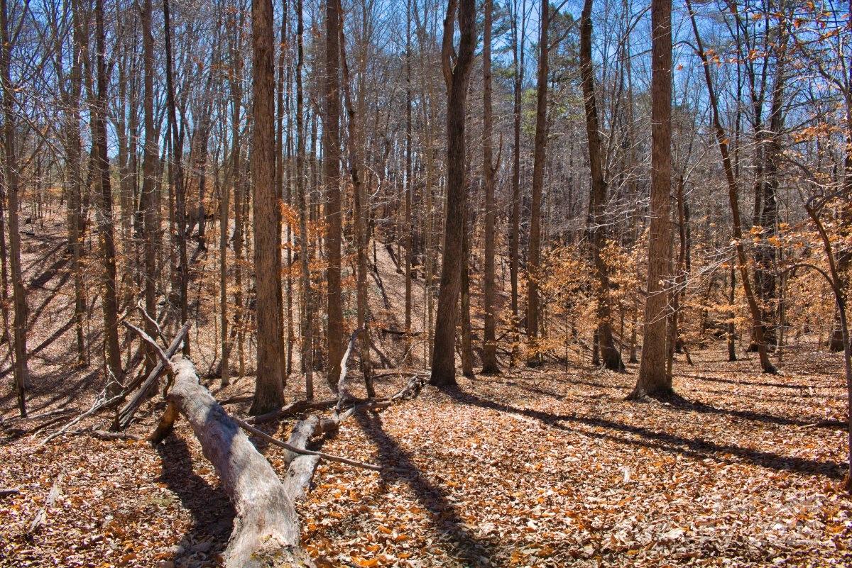 Property image 4 at 0 Cinnamon Ridge, Rutherfordton, NC 28139