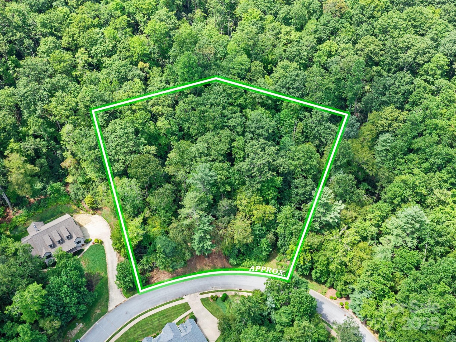 Property image 4 at 99999 Mistletoe Trail, Hendersonville, NC 28791