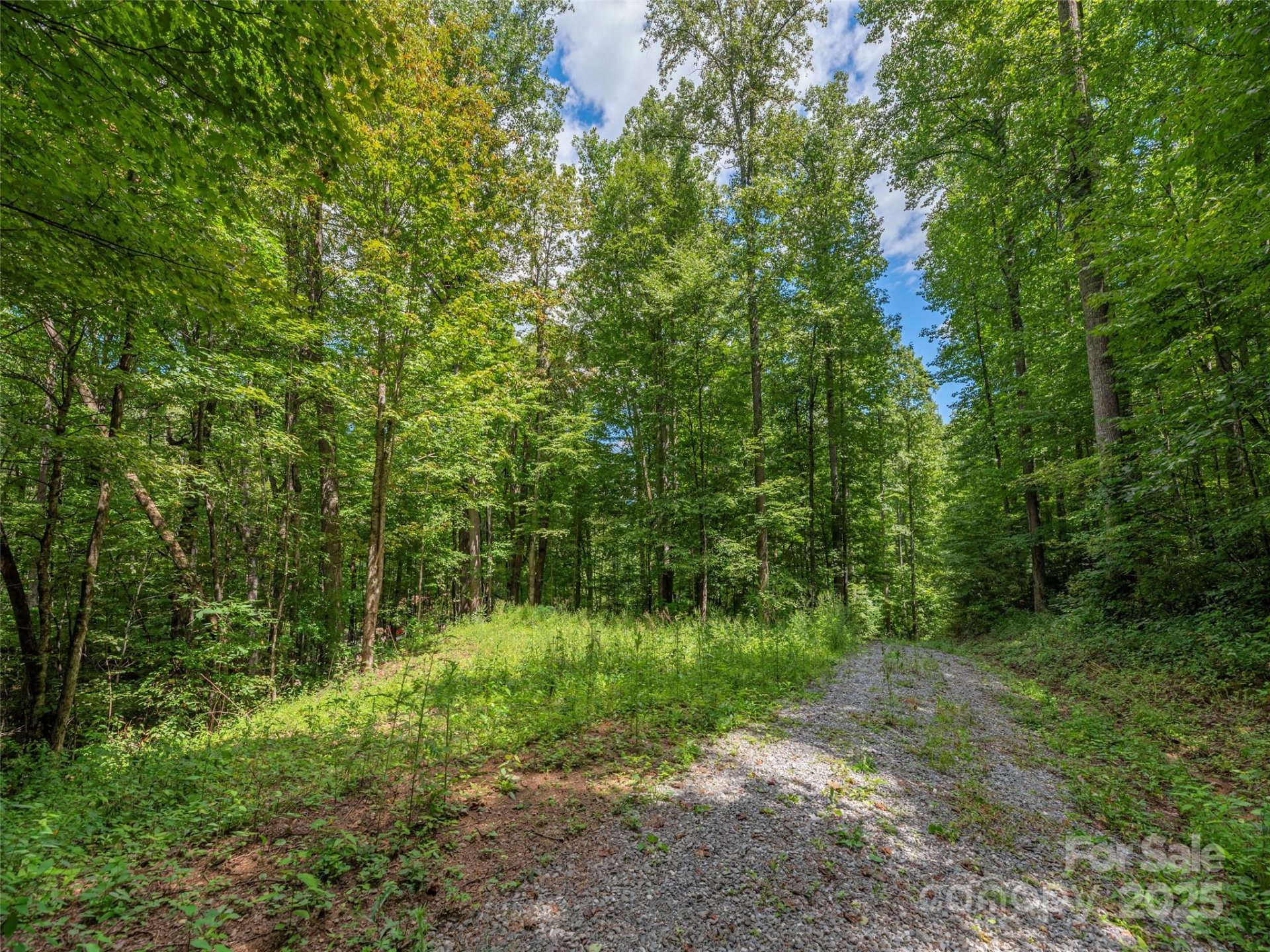 Property at 000 Flowing Brook Lane, Waynesville, NC 28786