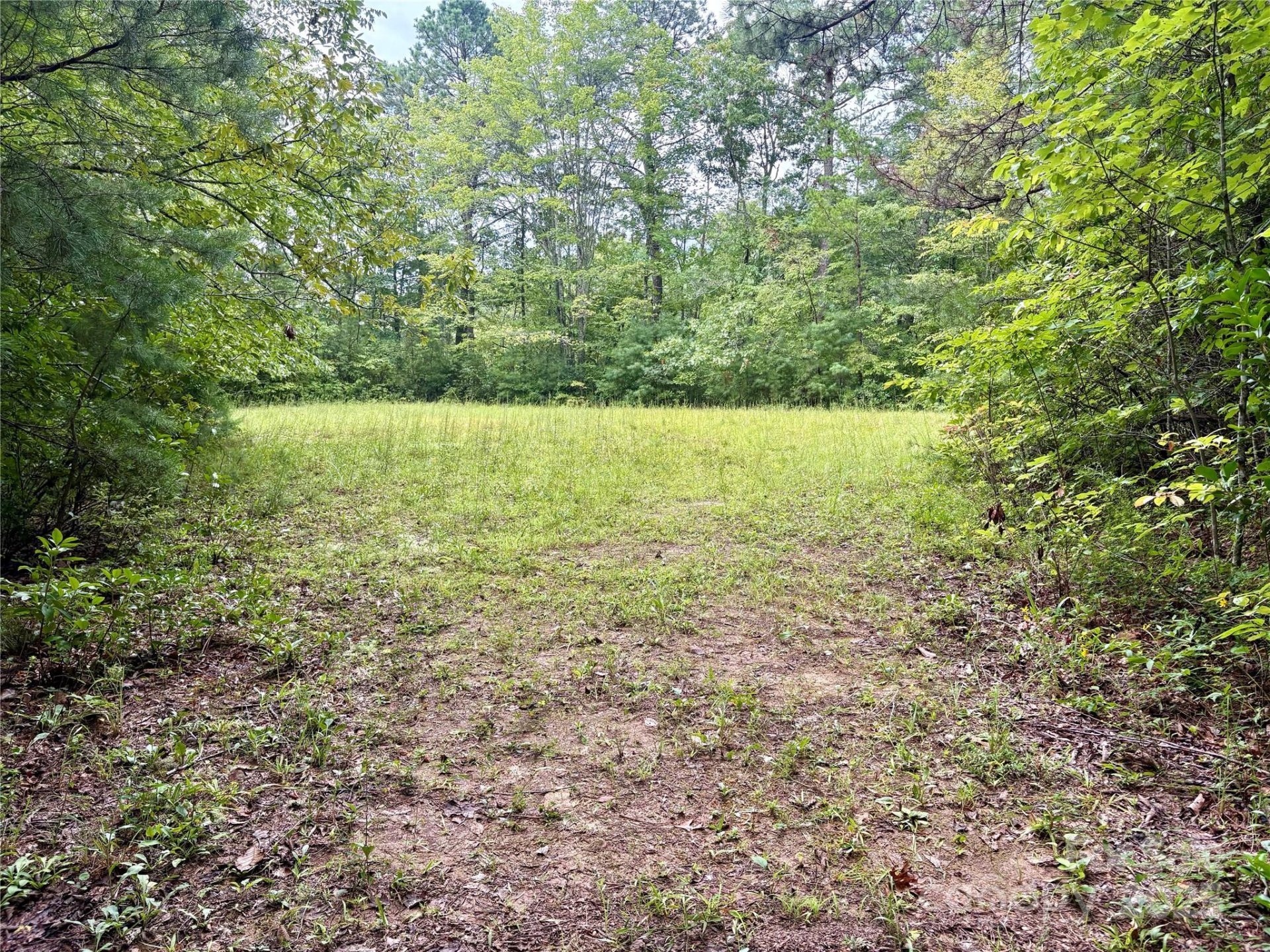 Property image 2 at 0 Chickadee Drive, Bryson City, NC 28713