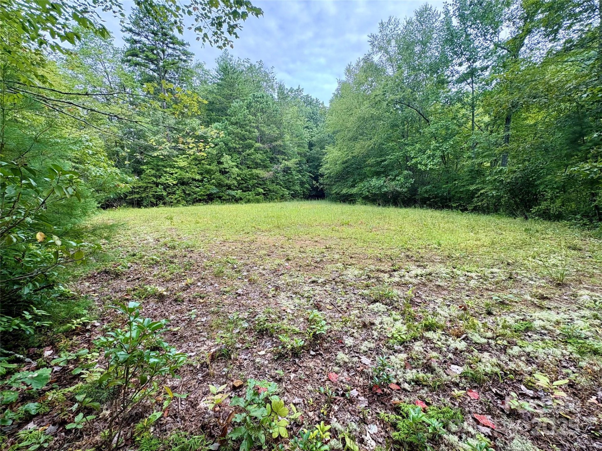 Property image 3 at 0 Chickadee Drive, Bryson City, NC 28713