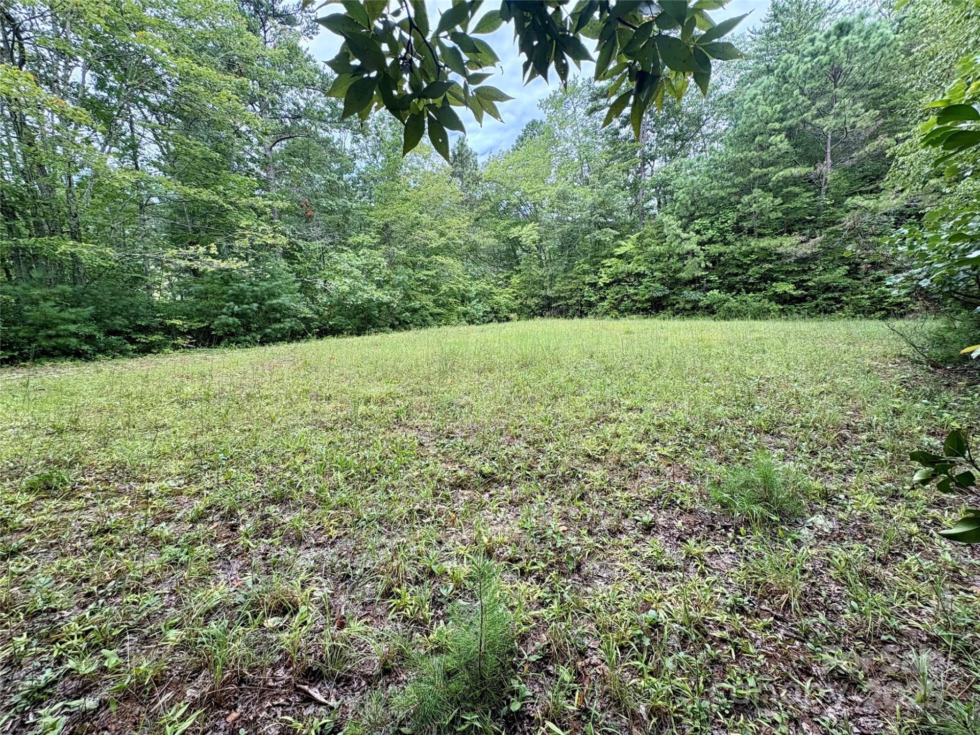 Property image 4 at 0 Chickadee Drive, Bryson City, NC 28713