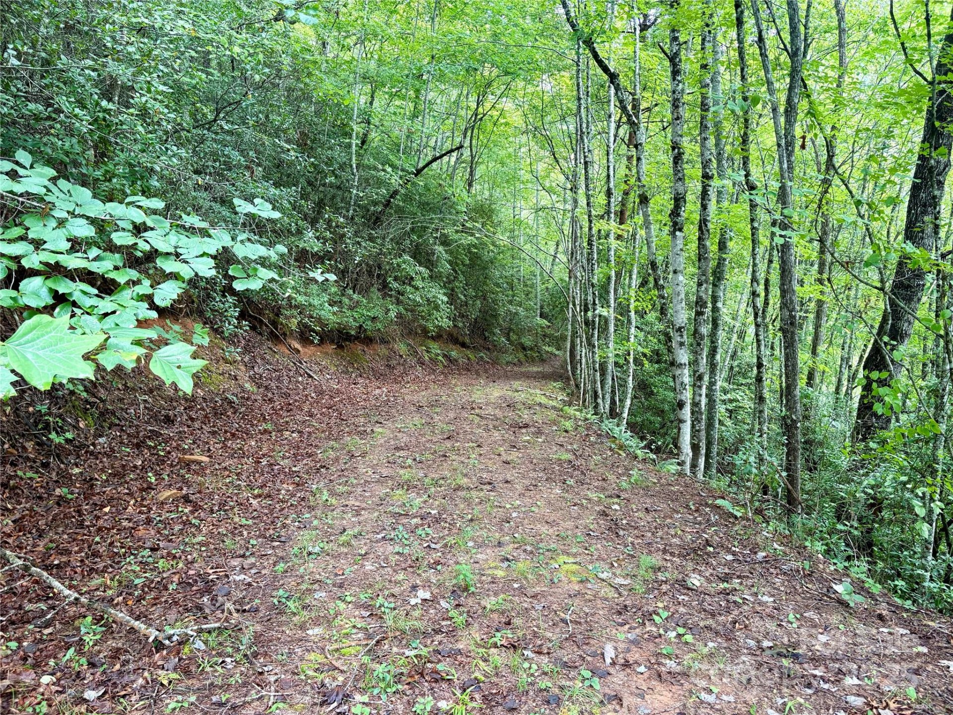 Property image 5 at 0 Chickadee Drive, Bryson City, NC 28713