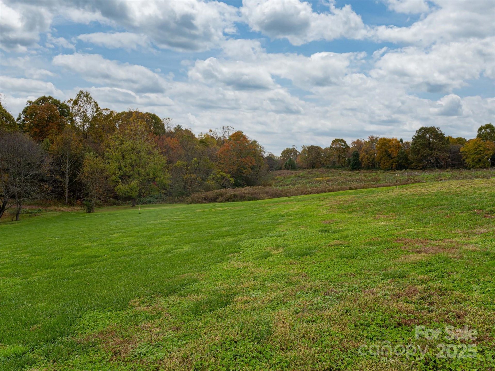 Property image 4 at 47 N Sweetwater Pond Road, Mills River, NC 28759