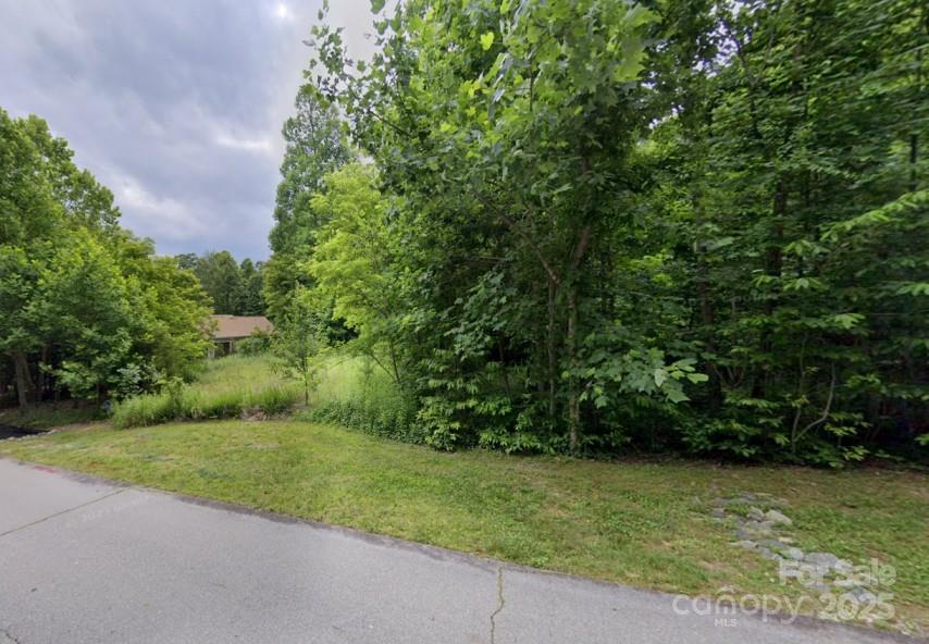 Property image 5 at 60 Ivywood Lane, Hendersonville, NC 28739