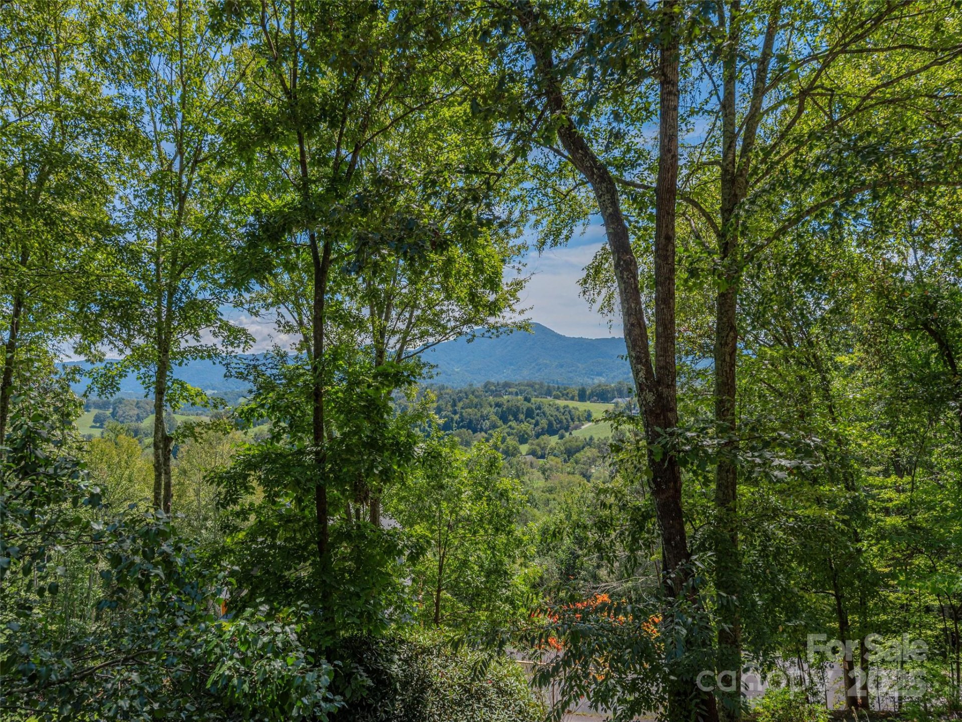 Property image 3 at 160 Turkey Hollow Court, Waynesville, NC 28785