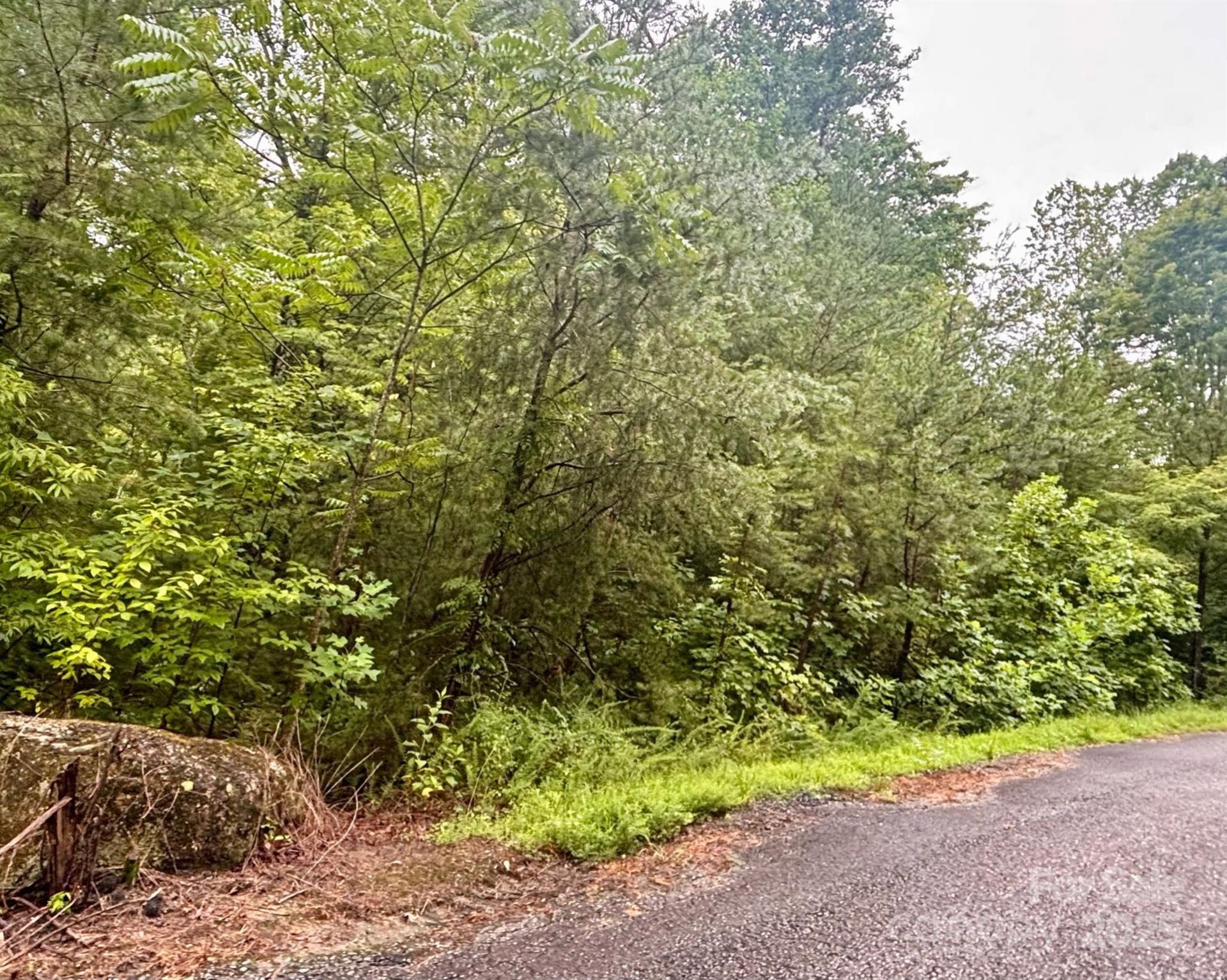 Property image 3 at 000 High Road Court, Lake Lure, NC 28746