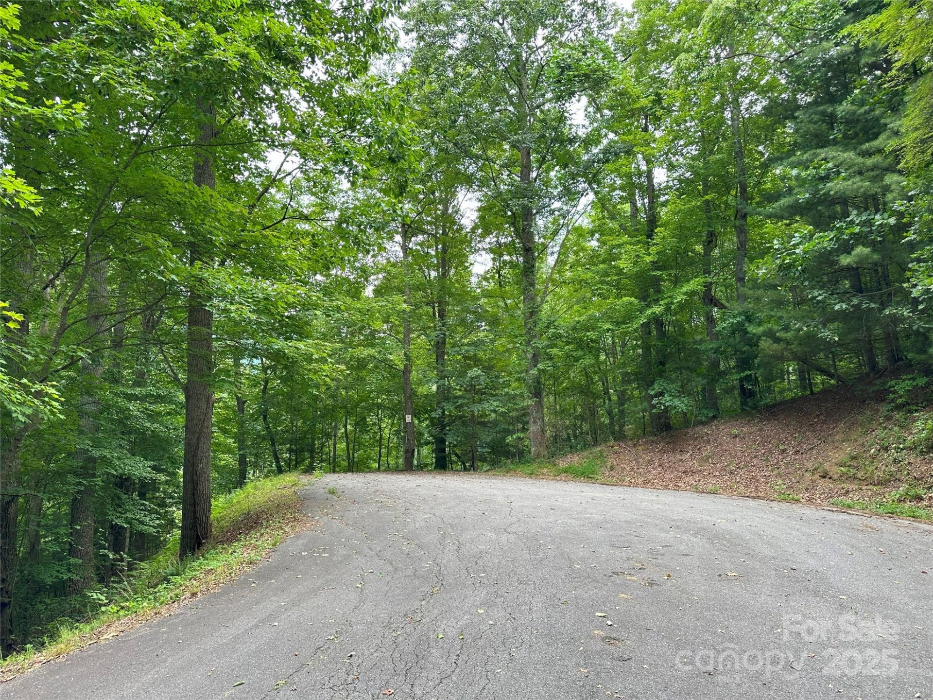 000 Ruffed Grouse Lane