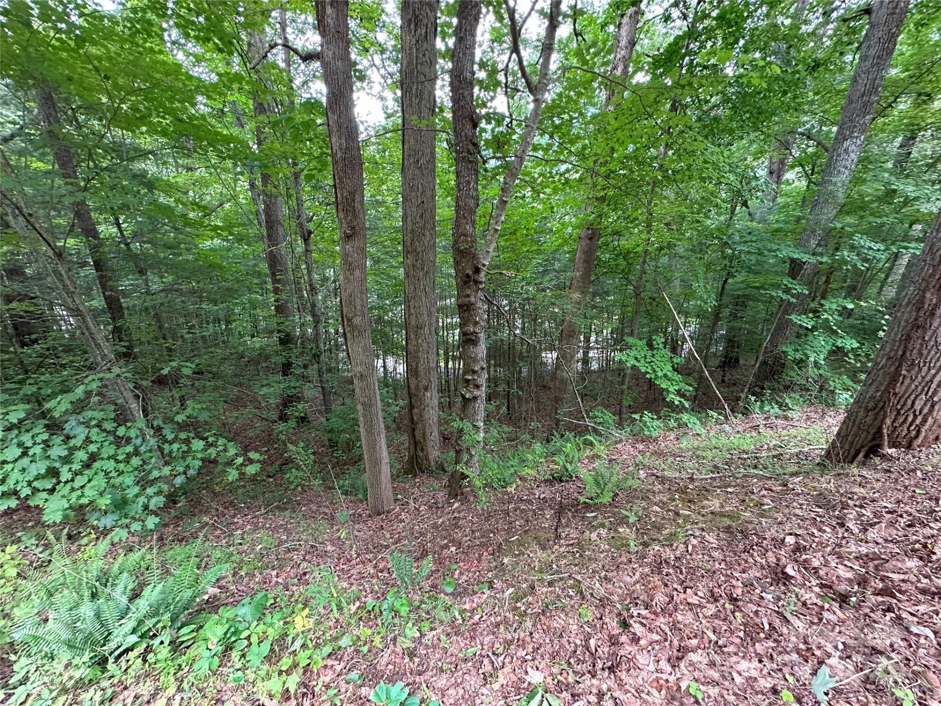 Property image 5 at 000 Ruffed Grouse Lane, Waynesville, NC 28786
