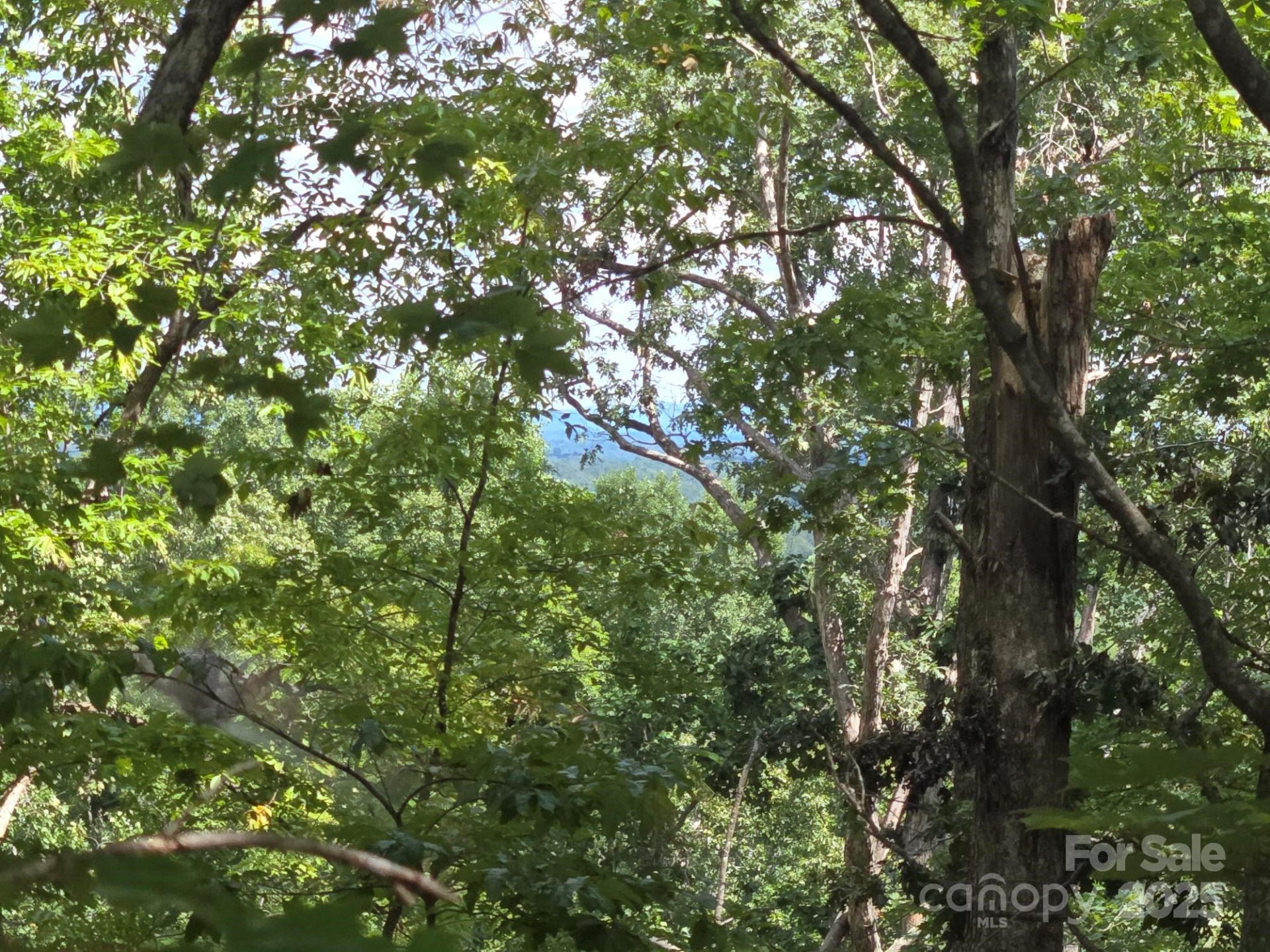 Property image 4 at Lot 34 Hawks Nest Trail, Lake Lure, NC 28746