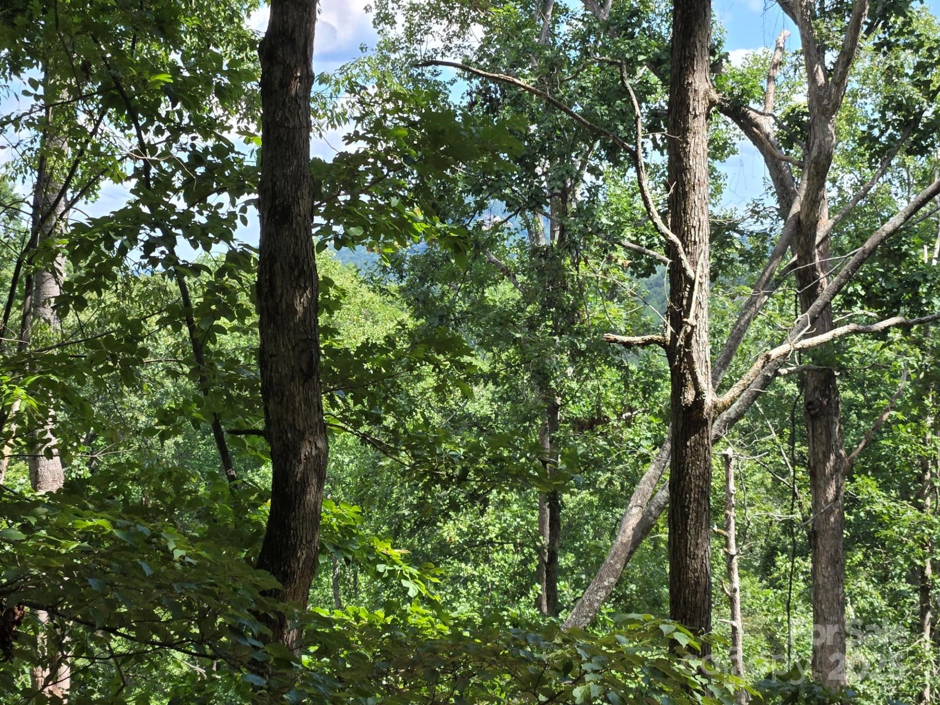 Property image 5 at Lot 34 Hawks Nest Trail, Lake Lure, NC 28746
