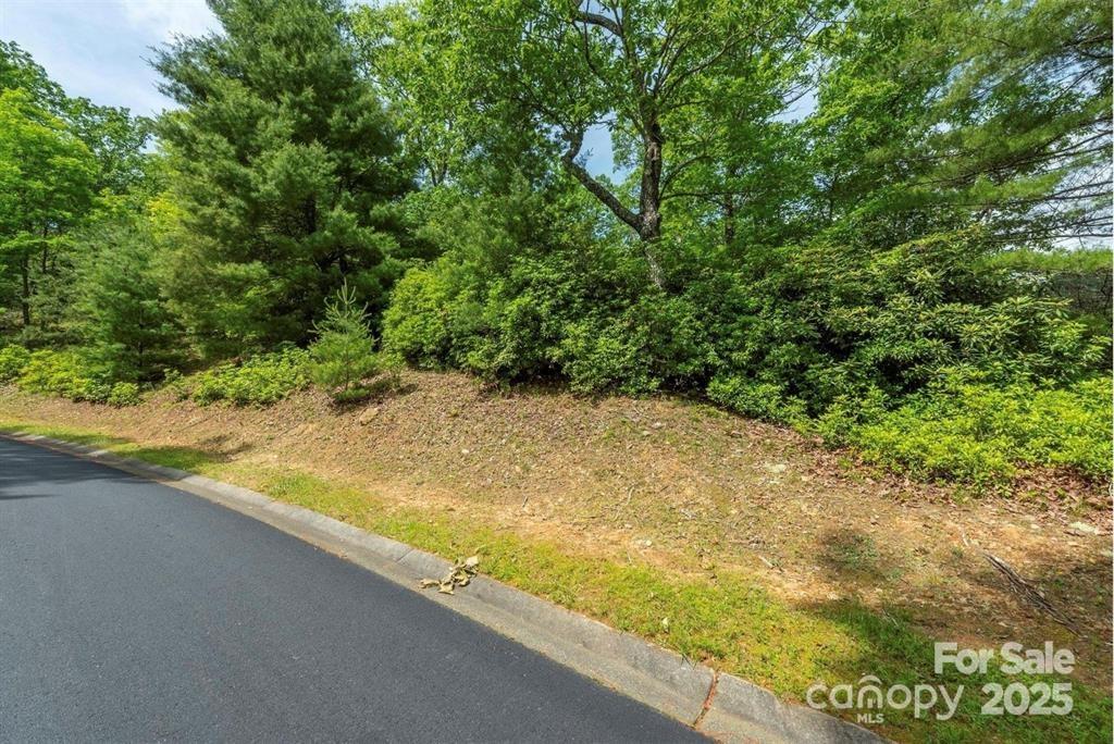 Property image 2 at 99999 May Fly Lane, Horse Shoe, NC 28742