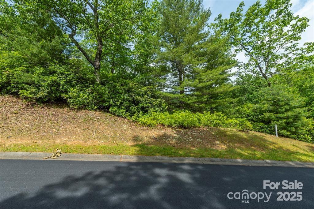 Property image 3 at 99999 May Fly Lane, Horse Shoe, NC 28742