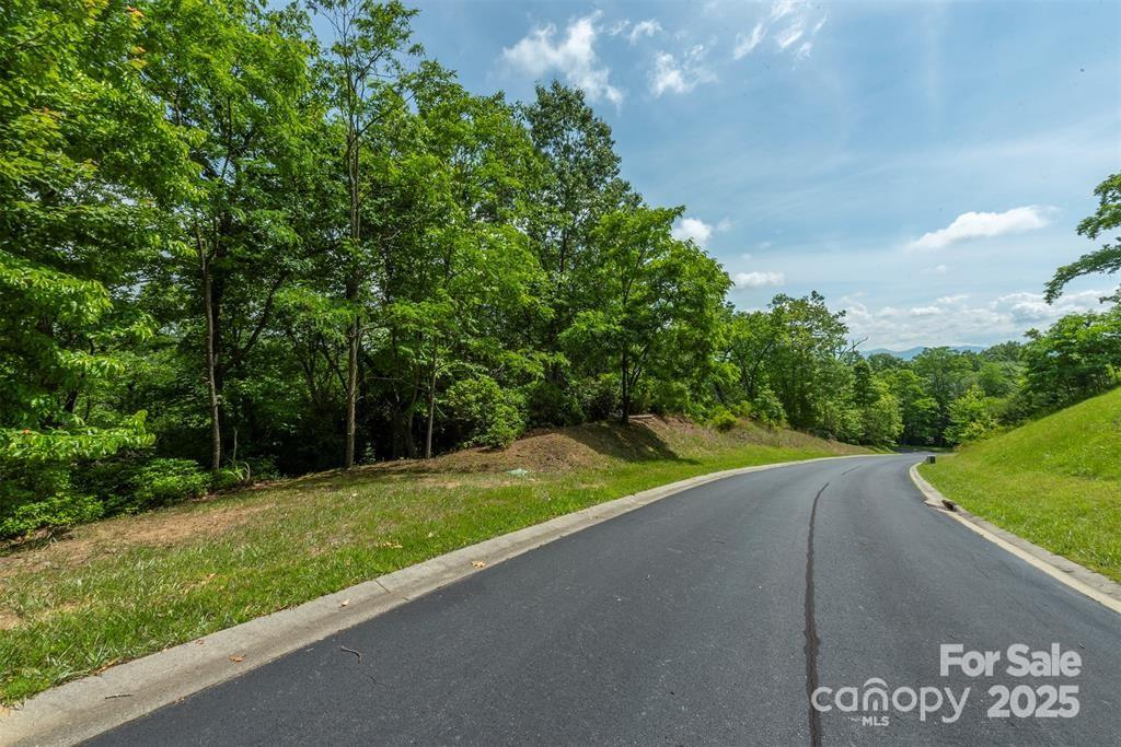 Property image 4 at 99999 May Fly Lane, Horse Shoe, NC 28742