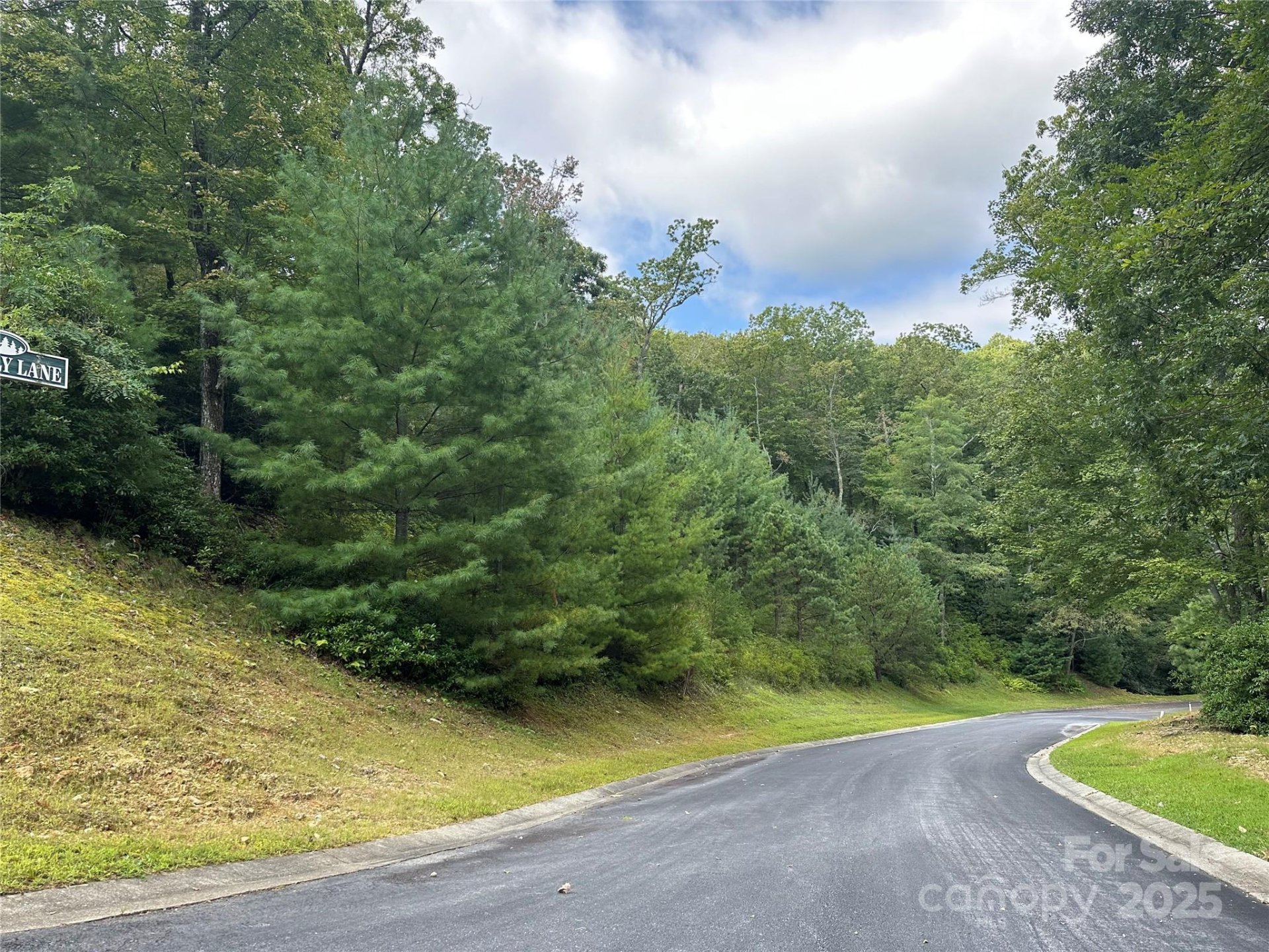 Property image 5 at 99999 May Fly Lane, Horse Shoe, NC 28742