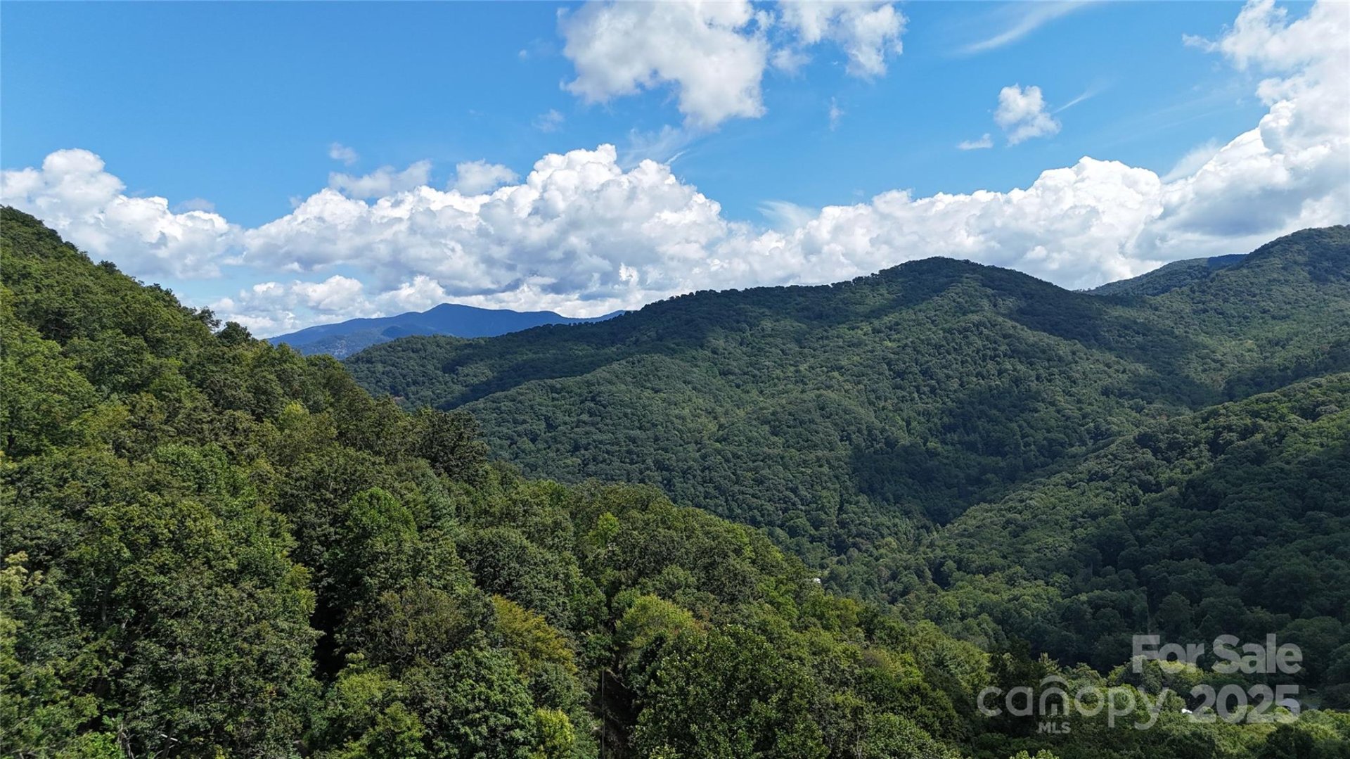 Property image 5 at 607 Rocky Top Trail, Barnardsville, NC 28709