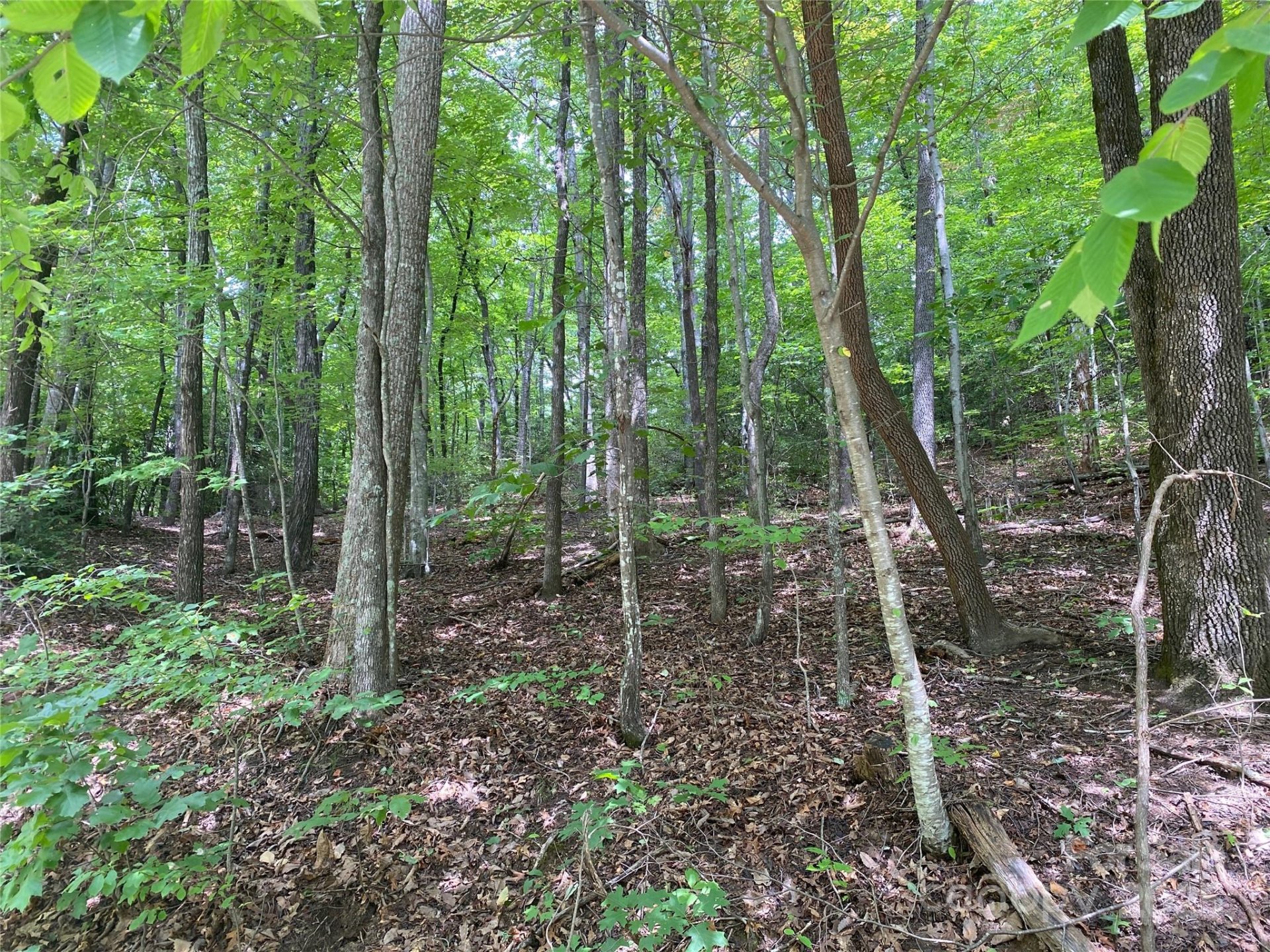 Property image 3 at 000 Steven Street, Lake Lure, NC 28746