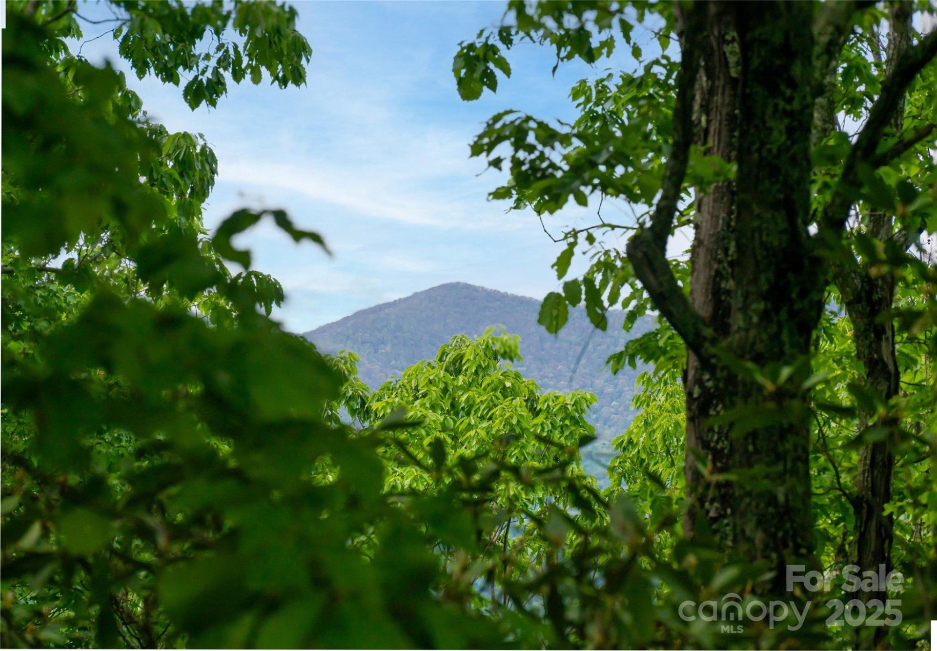 Property at 1111 Elm Tree Lane, Swannanoa, NC 28778