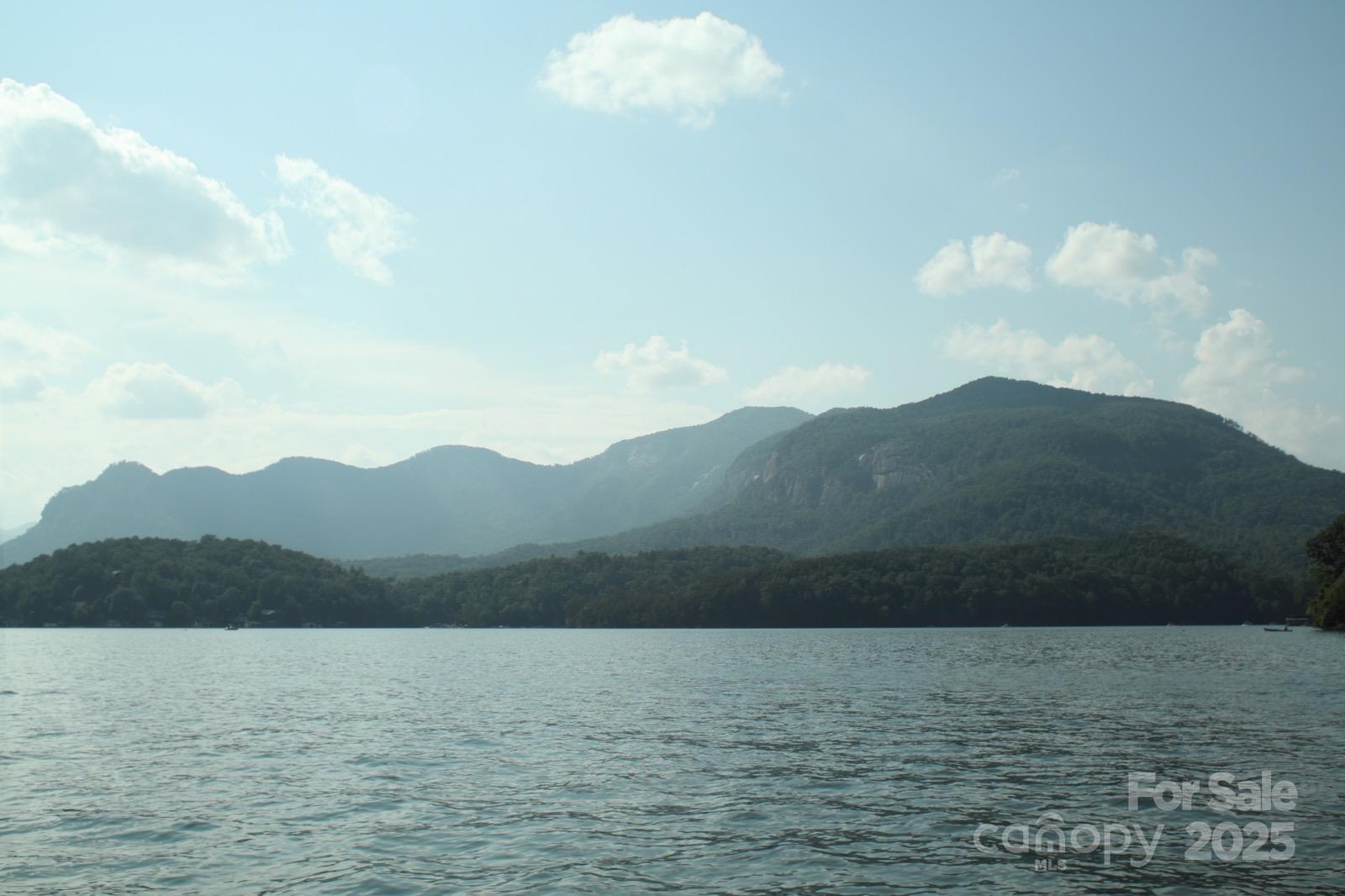 Property image 2 at Lot 4 Quail Ridge Boulevard, Lake Lure, NC 28746