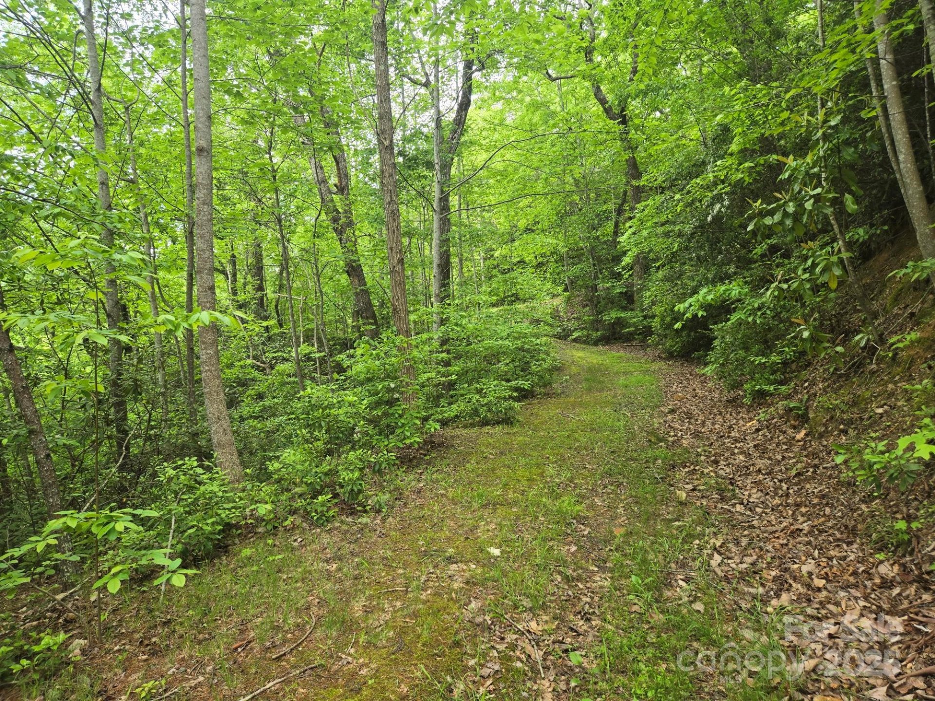 Property image 4 at Lot 4 Quail Ridge Boulevard, Lake Lure, NC 28746