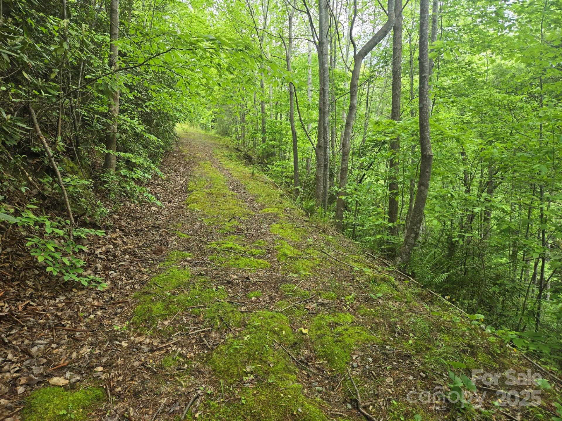 Property image 5 at Lot 4 Quail Ridge Boulevard, Lake Lure, NC 28746
