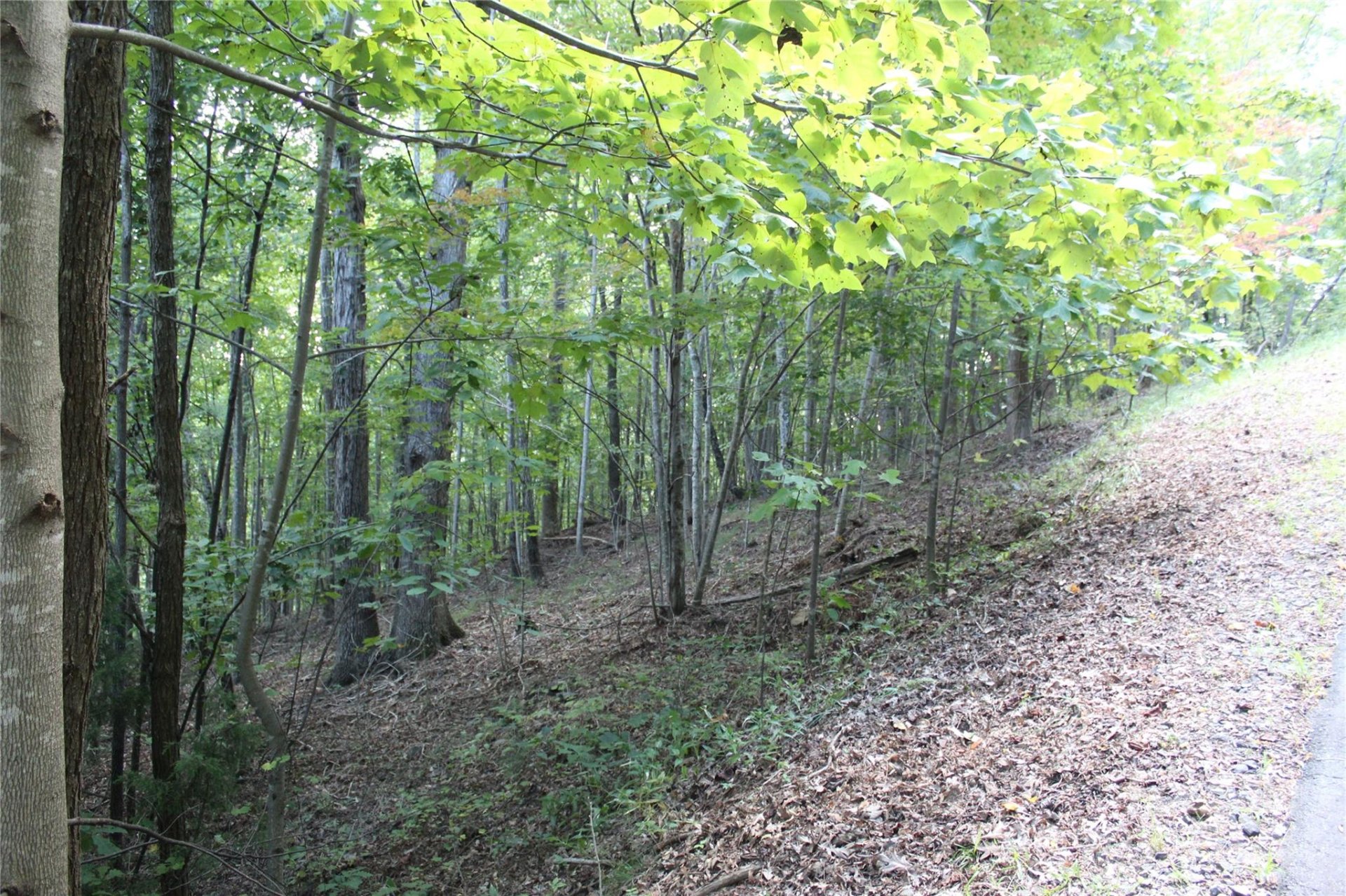 Property at 0 Azule Ridge Drive, Bostic, NC 28018