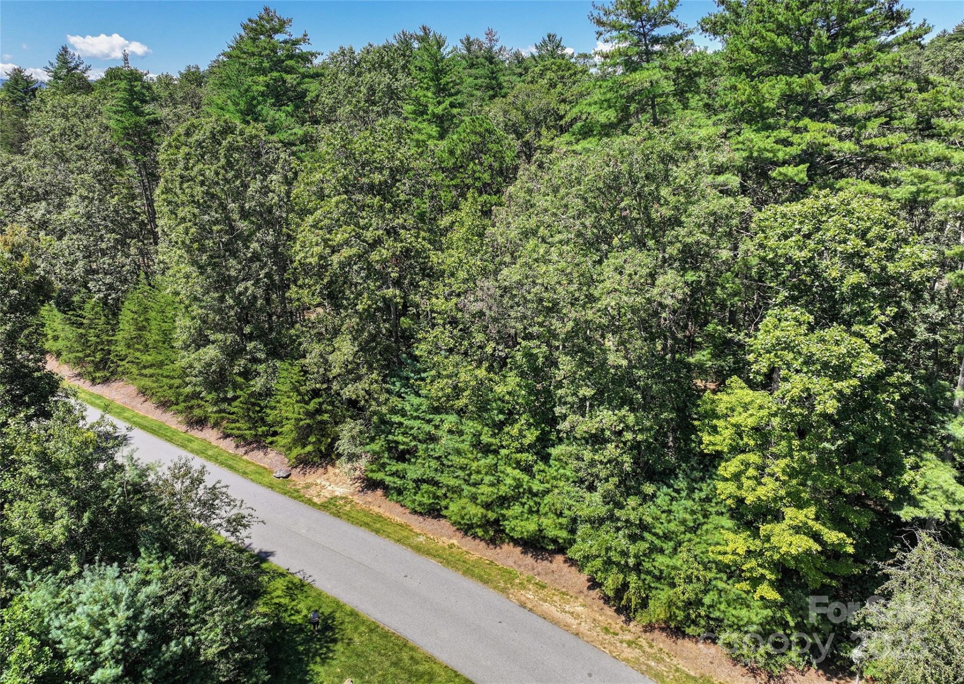 Property at 15 Mirehouse Run, Asheville, NC 28803