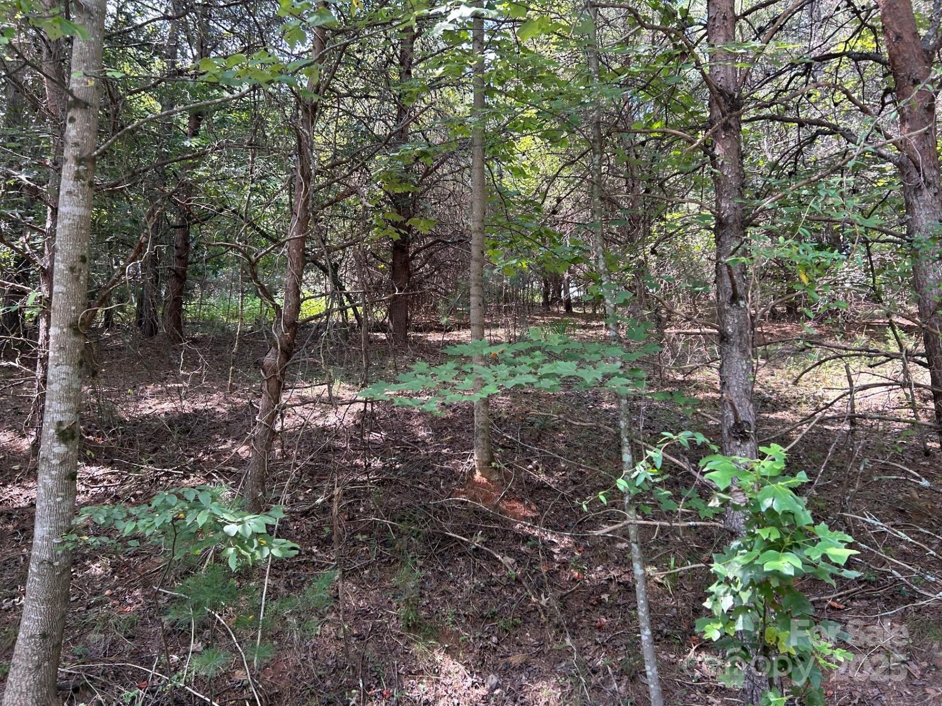 Property image 5 at 4 6 Waterford Court, Granite Falls, NC 28630