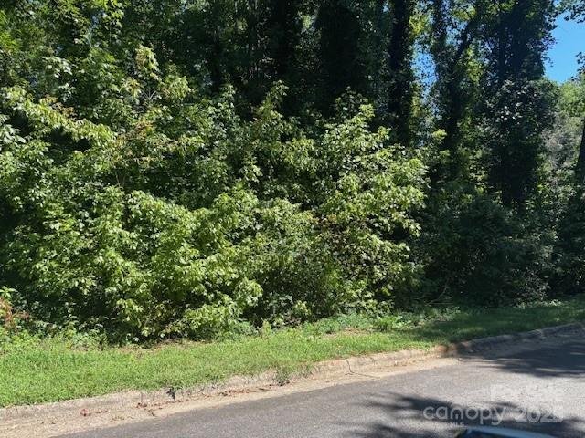 Property image 3 at 1541 1531 9th Street Lane, Hickory, NC 28601
