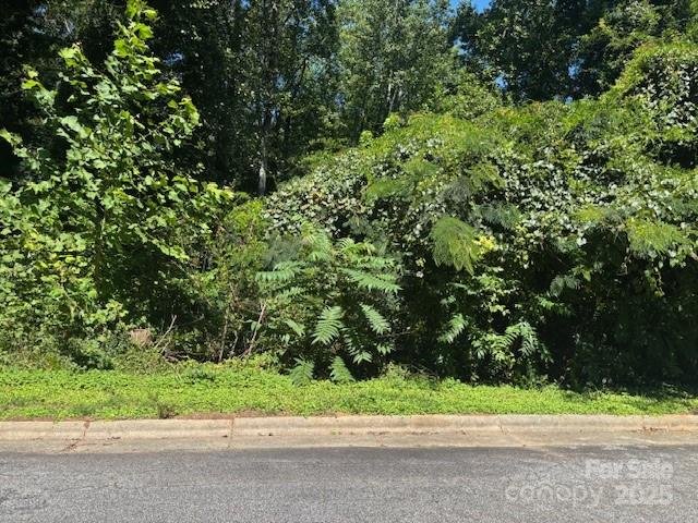 Property image 5 at 1541 1531 9th Street Lane, Hickory, NC 28601
