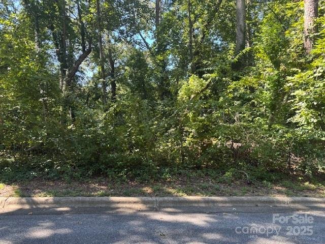 Property image 4 at 1550 1560 9th Street Lane, Hickory, NC 28601