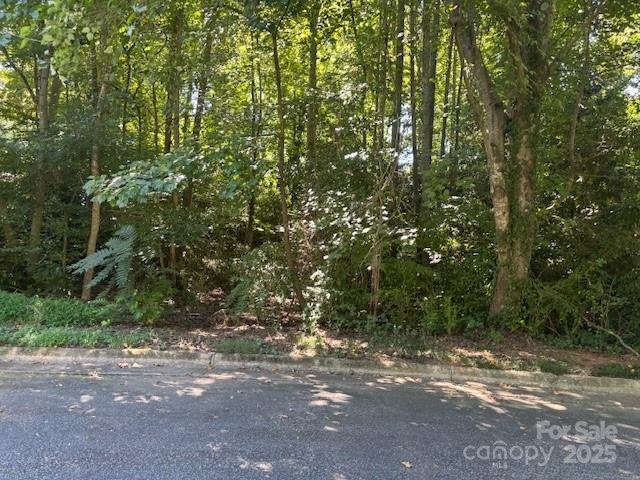 Property image 4 at 1530 9th Street Lane, Hickory, NC 28601