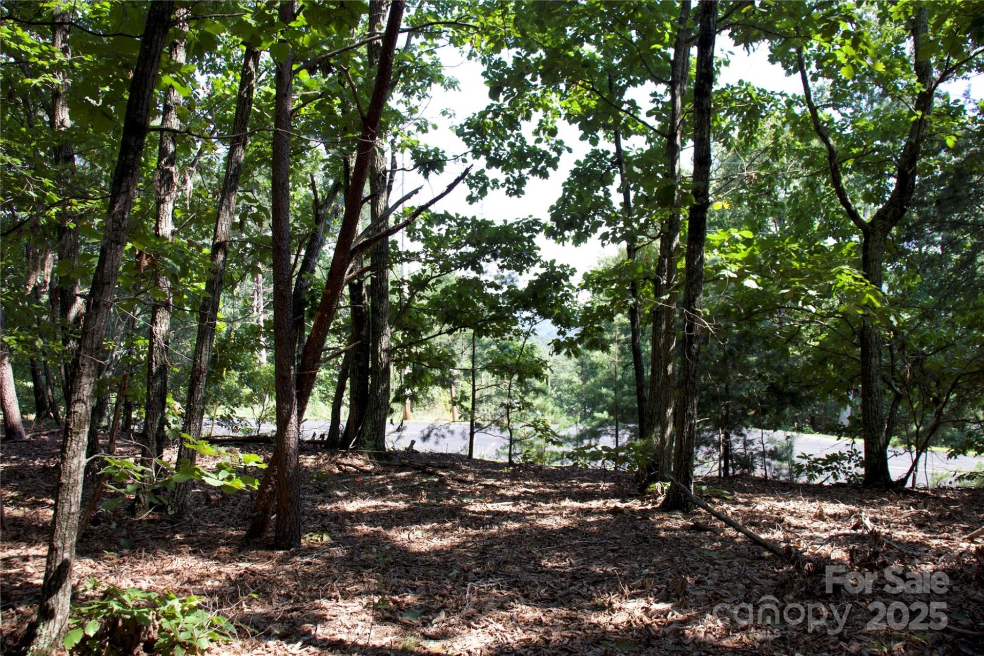 Property at 0 Mountain Lookout Drive, Bostic, NC 28018