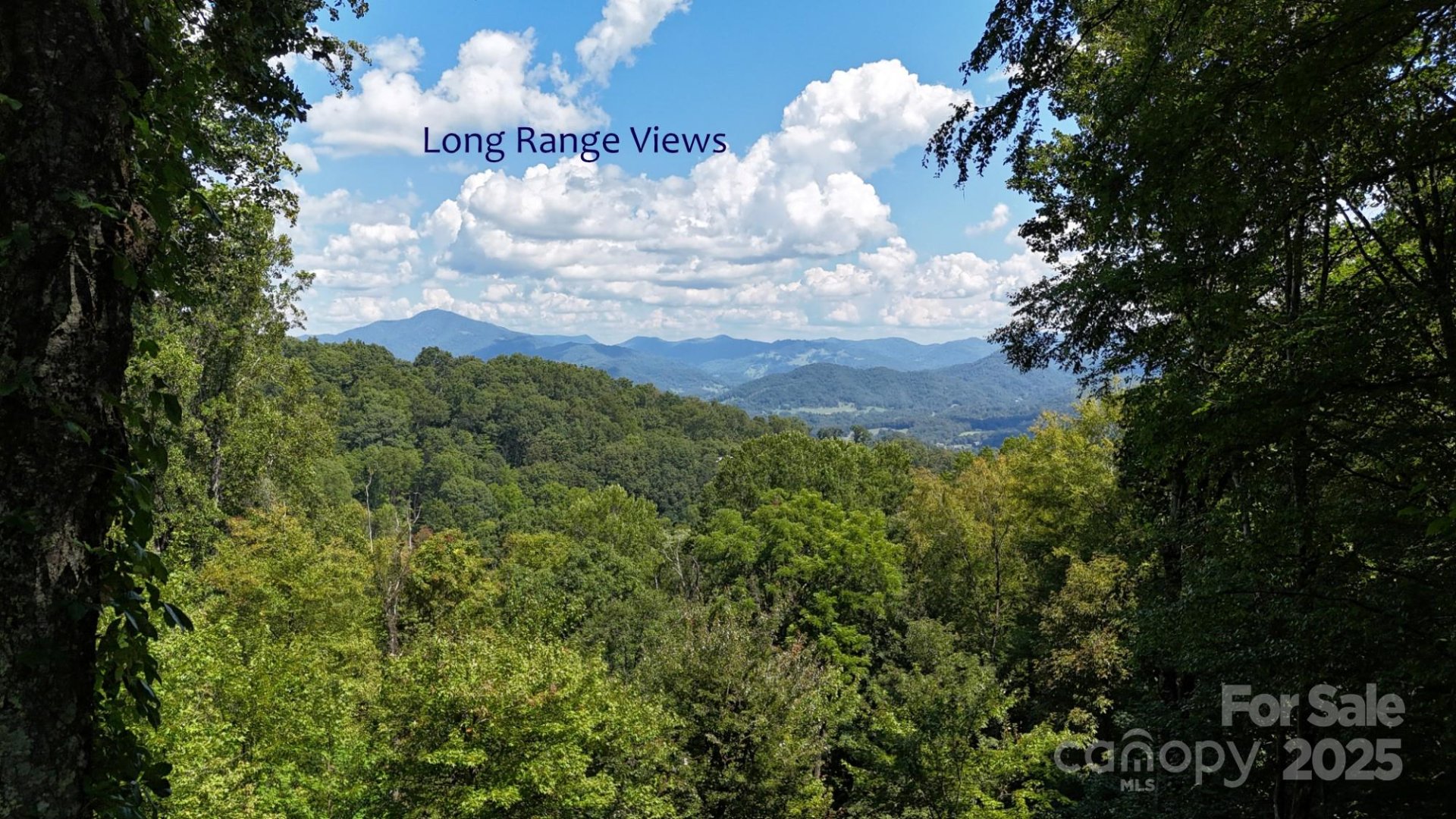 Property at 2222 Sleepy Hollow Drive, Waynesville, NC 28785