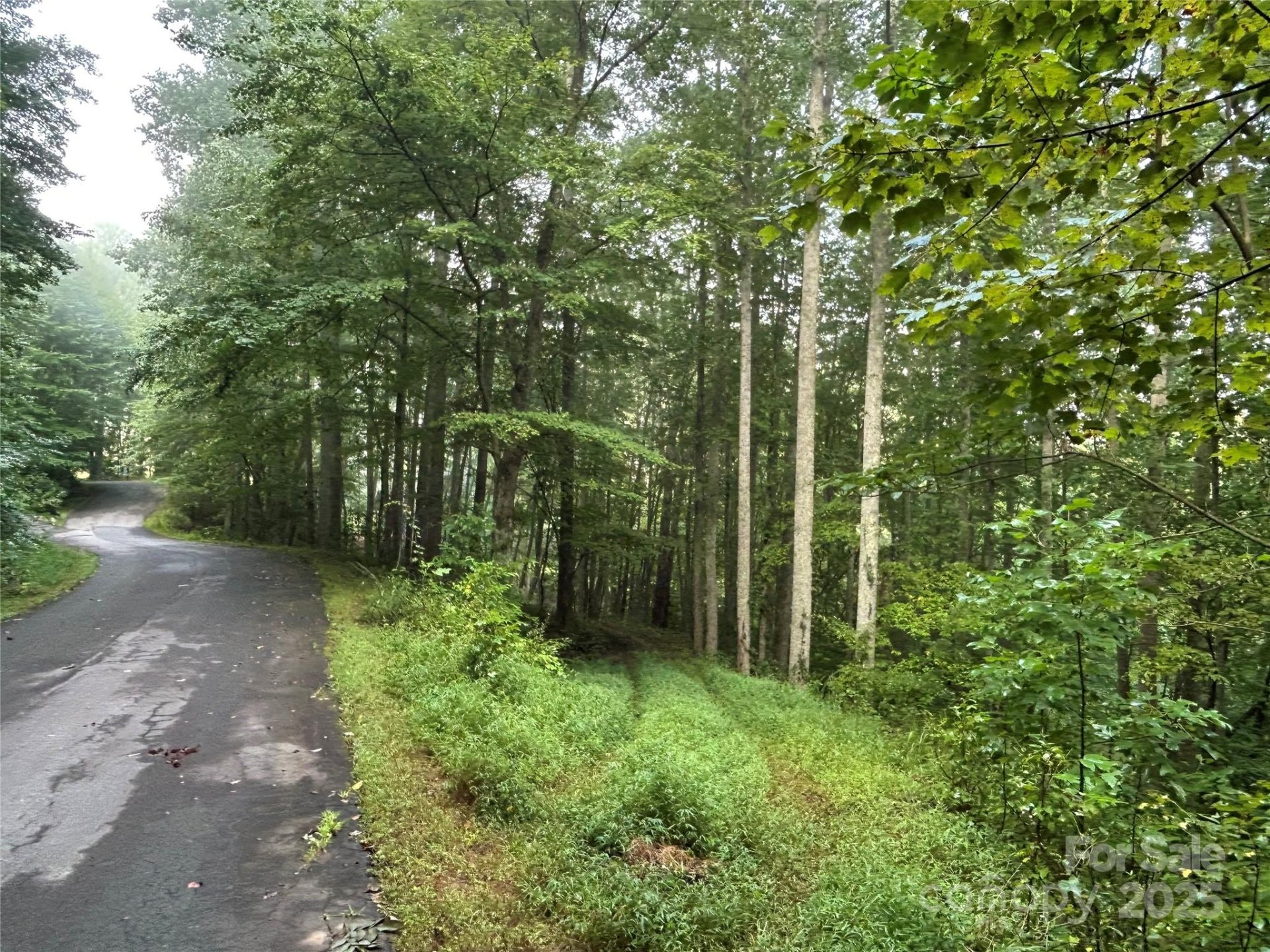 Lindon Cove Crossing, Candler community